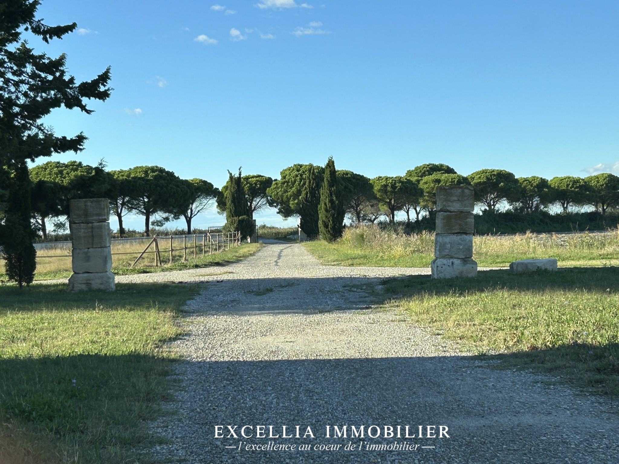 Bien immobilier à vendre à Arles, 1 240 m², 35 pièces – photo 3 sur 16