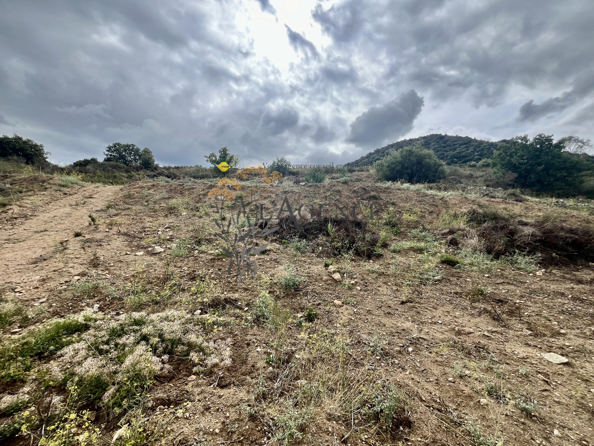 Terrain à vendre à Monticello, 6 097 m² – photo 2 sur 7