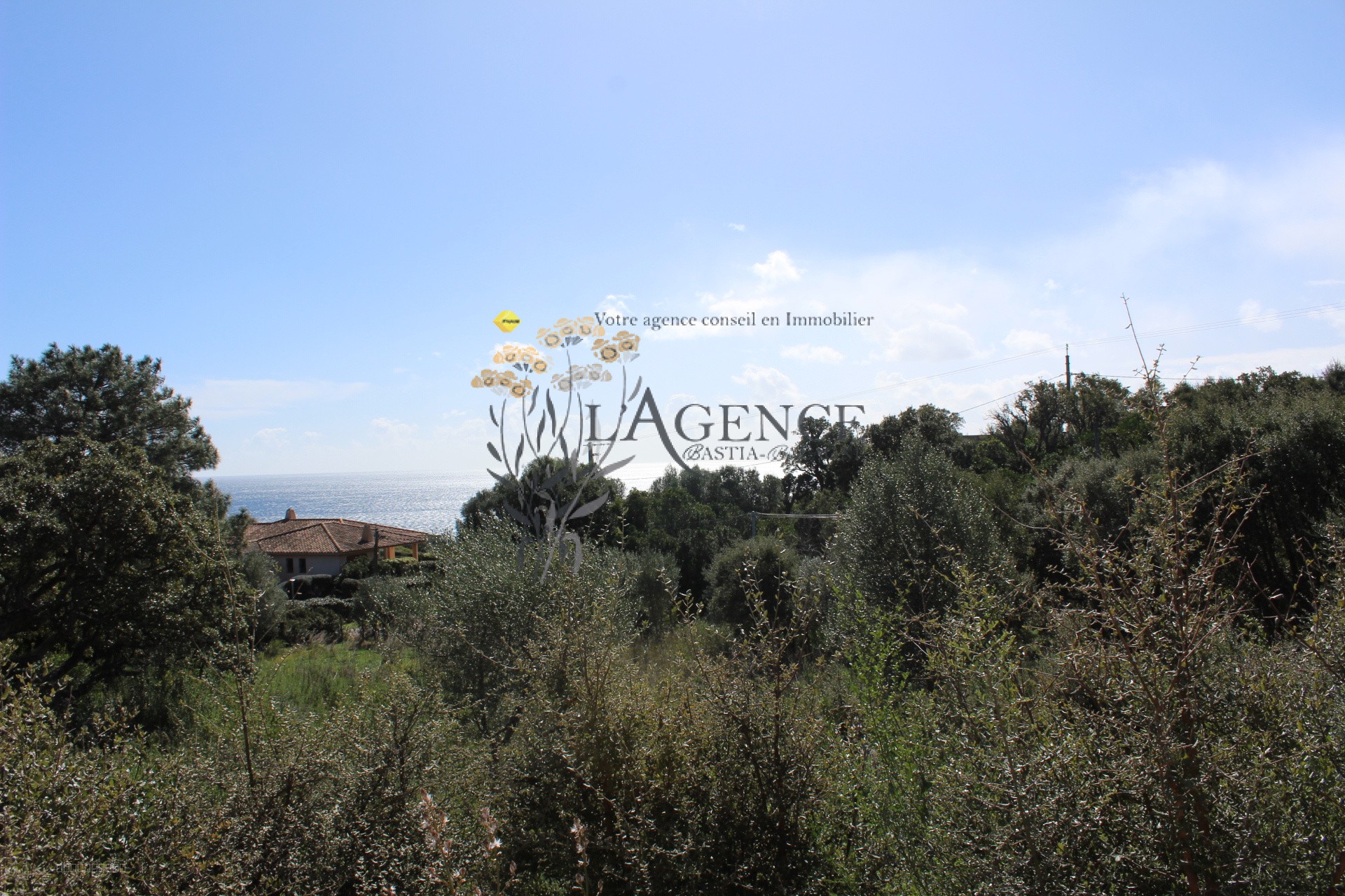 Maison à vendre à Porto vecchio, 238 m², 6 pièces – photo 2 sur 2