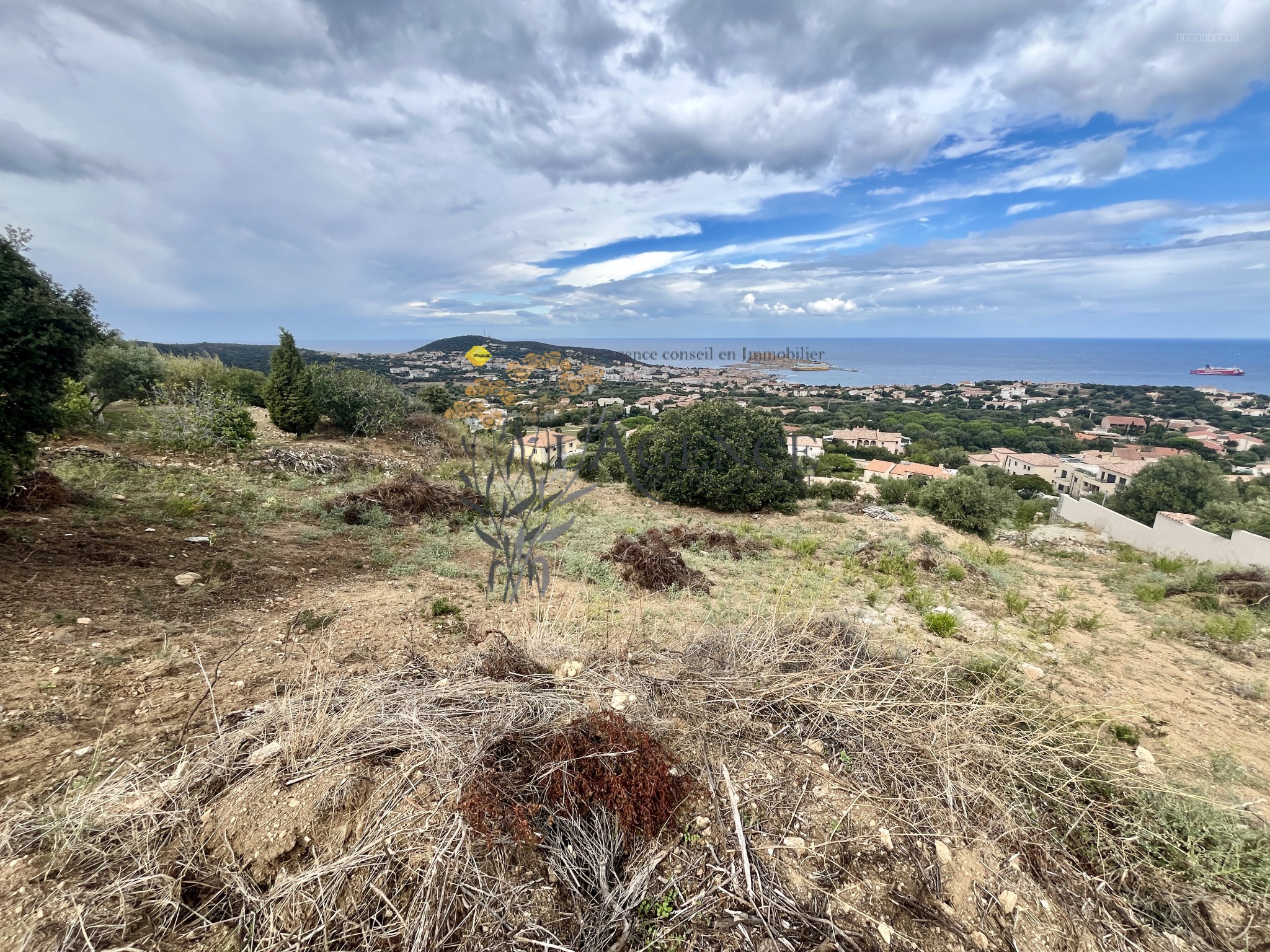 Terrain à vendre à Monticello, 6 097 m² – photo 3 sur 7
