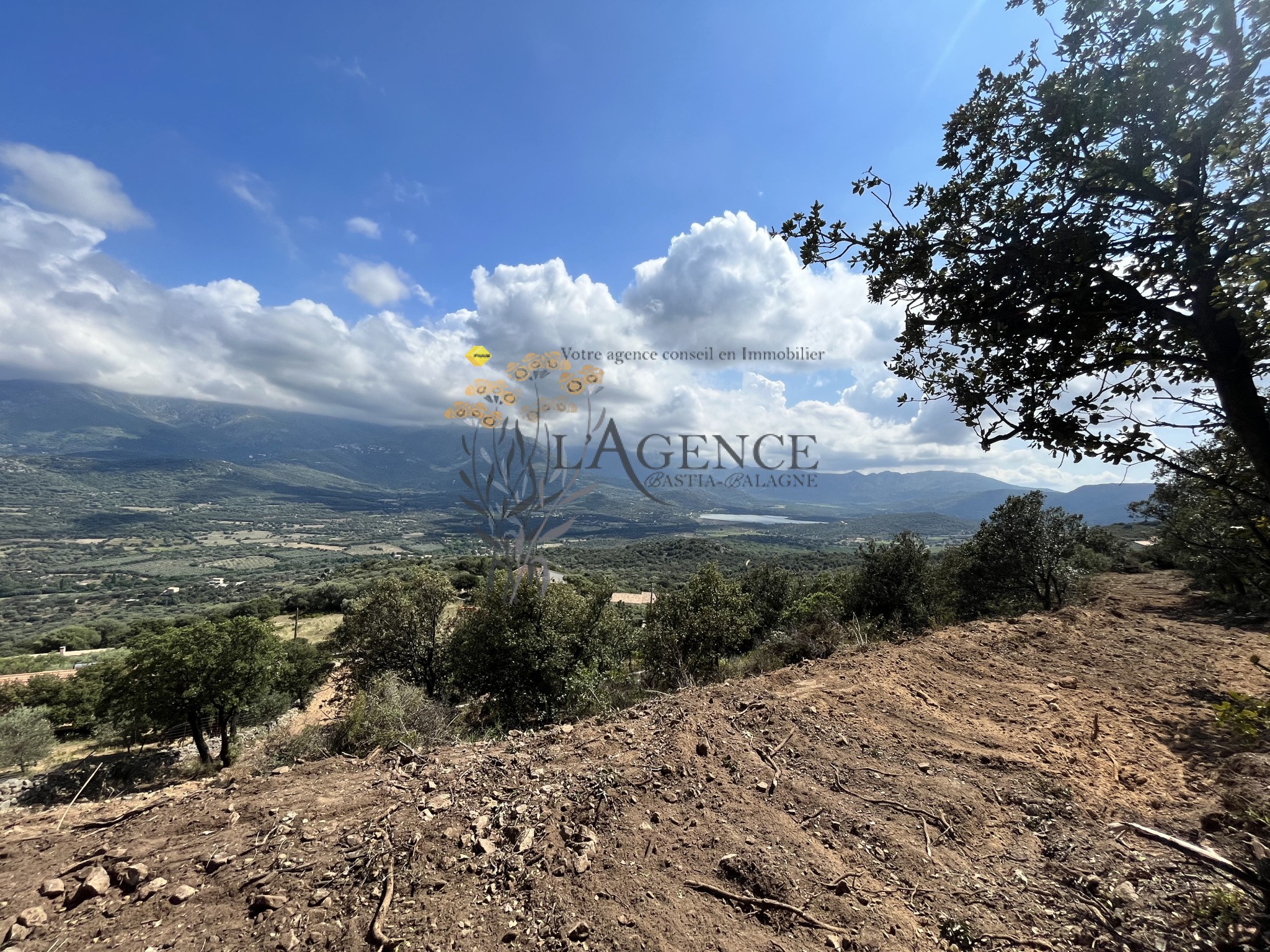 Terrain à vendre à Monticello, 12 044 m² – photo 2 sur 4