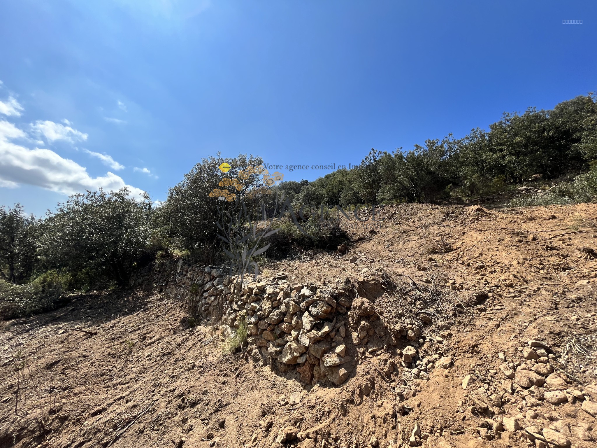 Terrain à vendre à Monticello, 12 044 m² – photo 3 sur 4