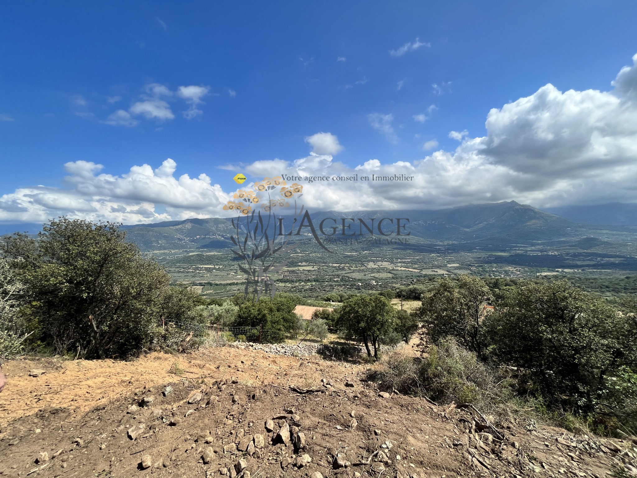 Terrain à vendre à Monticello, 12 044 m² – photo 1 sur 4