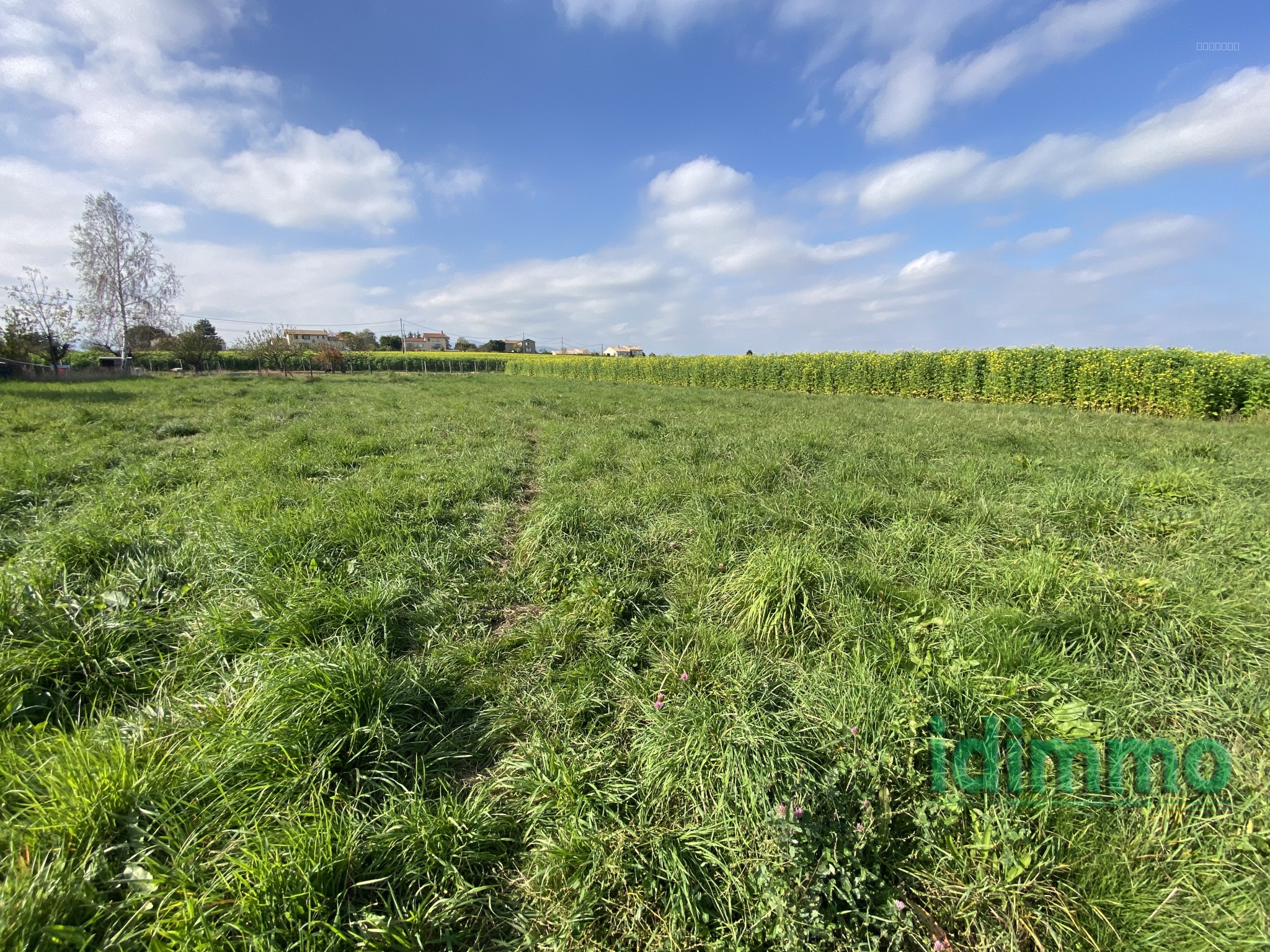 Bien immobilier à vendre à Eclassan, 884 m² – photo 1 sur 3