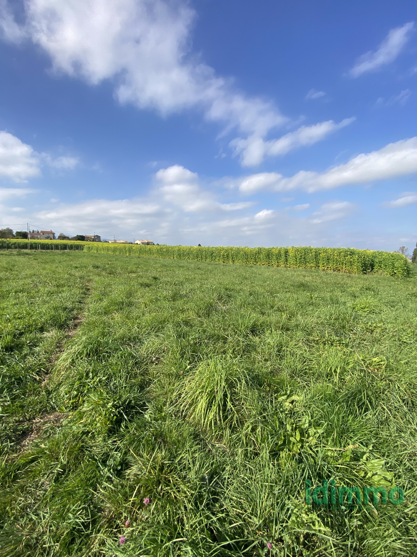 Bien immobilier à vendre à Eclassan, 987 m² – photo 3 sur 5