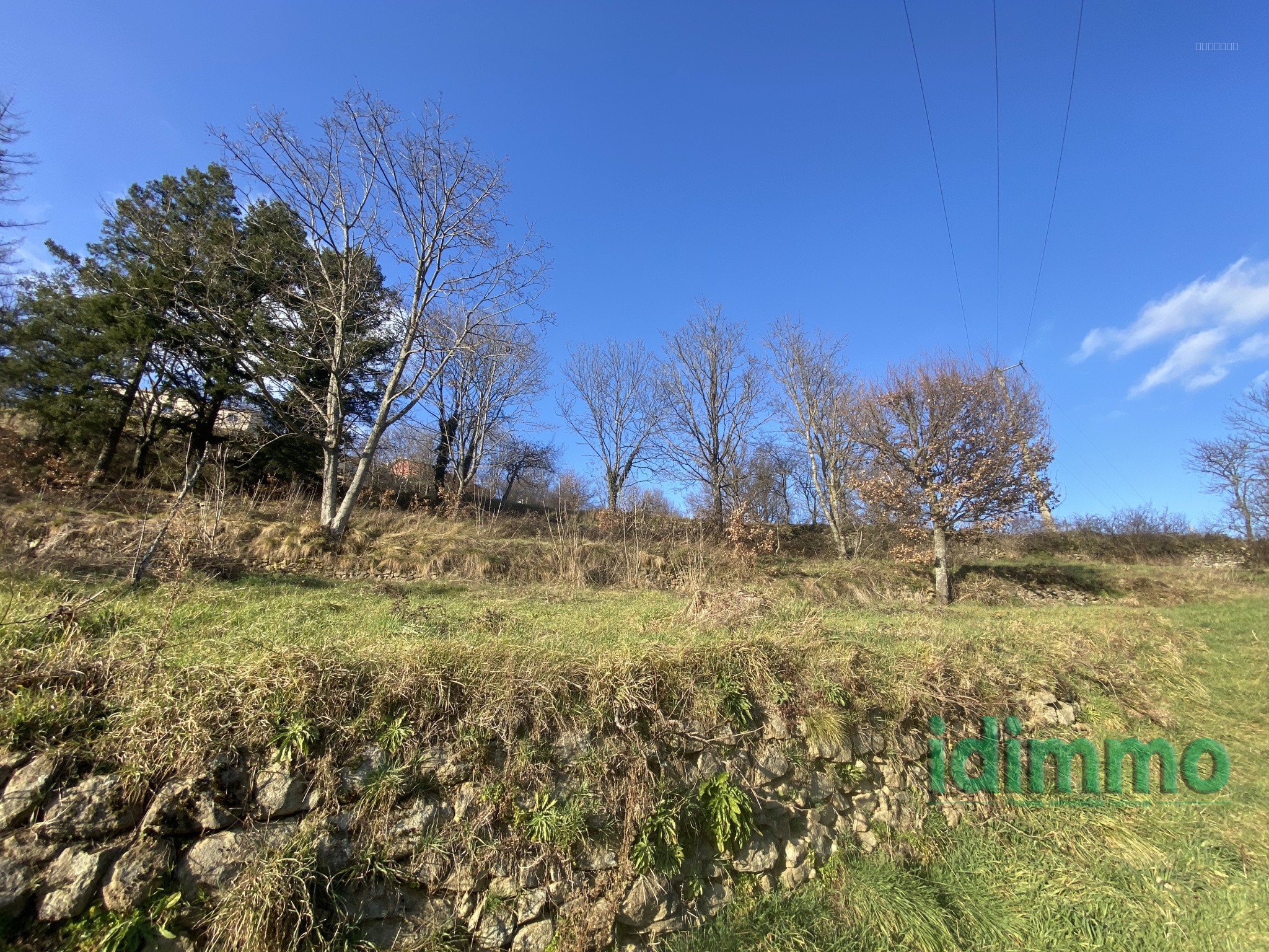 Bien immobilier à vendre à Villevocance, 2 664 m² – photo 3 sur 7