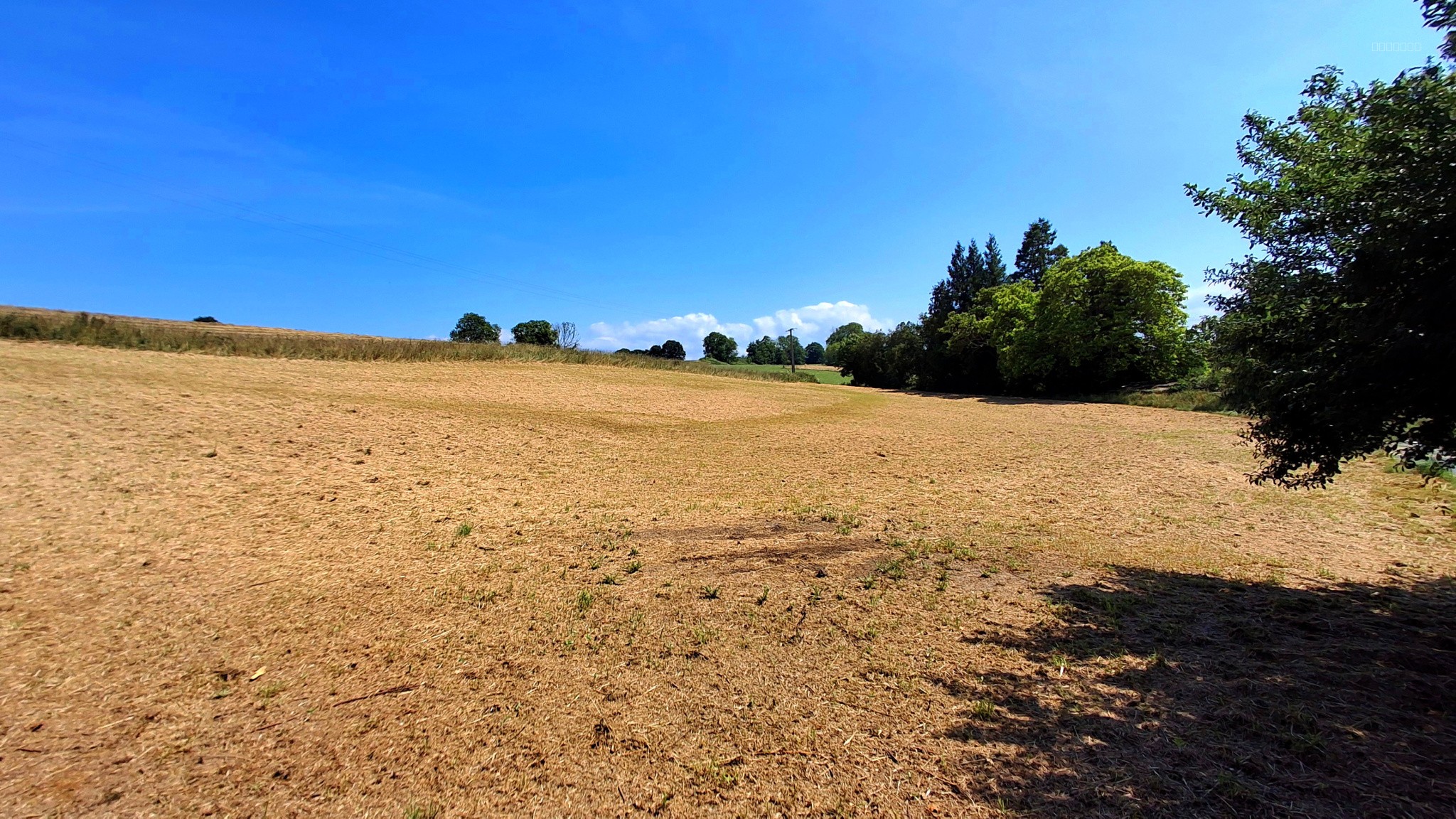 Bien immobilier à vendre à Torcy le petit, 5 118 m² – photo 3 sur 5