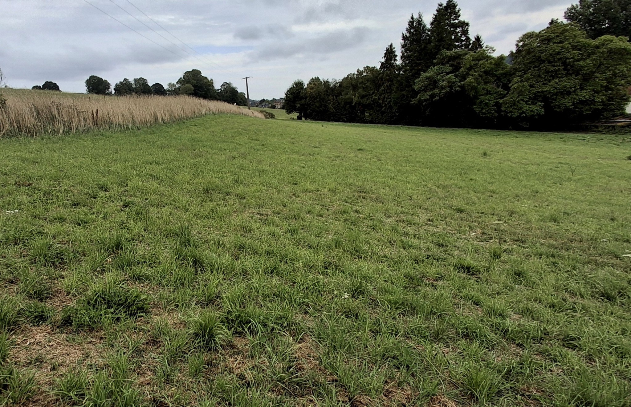 Bien immobilier à vendre à Torcy le petit, 5 118 m² – photo 2 sur 5