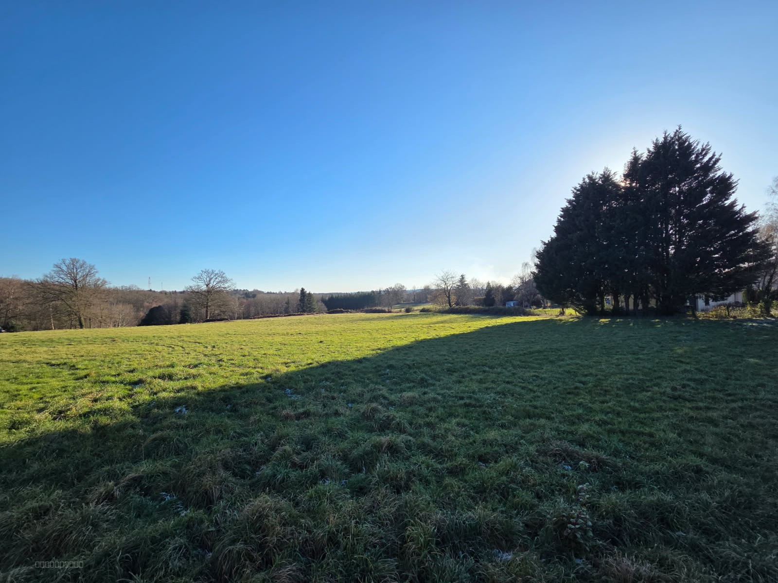Bien immobilier à vendre à Brigueuil, 5 220 m² – photo 2 sur 2