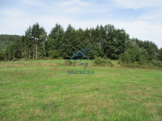 Terrain à vendre à Bruyeres, 1 151 m² – photo 3 sur 12