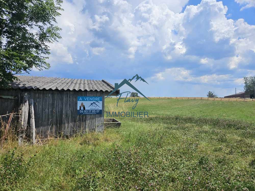 Bien immobilier à vendre à Sercoeur, 1 635 m² – photo 2 sur 6