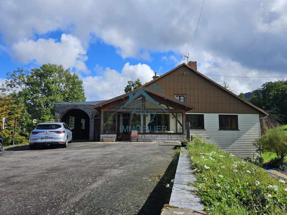 Maison à vendre à Vagney, 300 m², 5 pièces – photo 3 sur 20