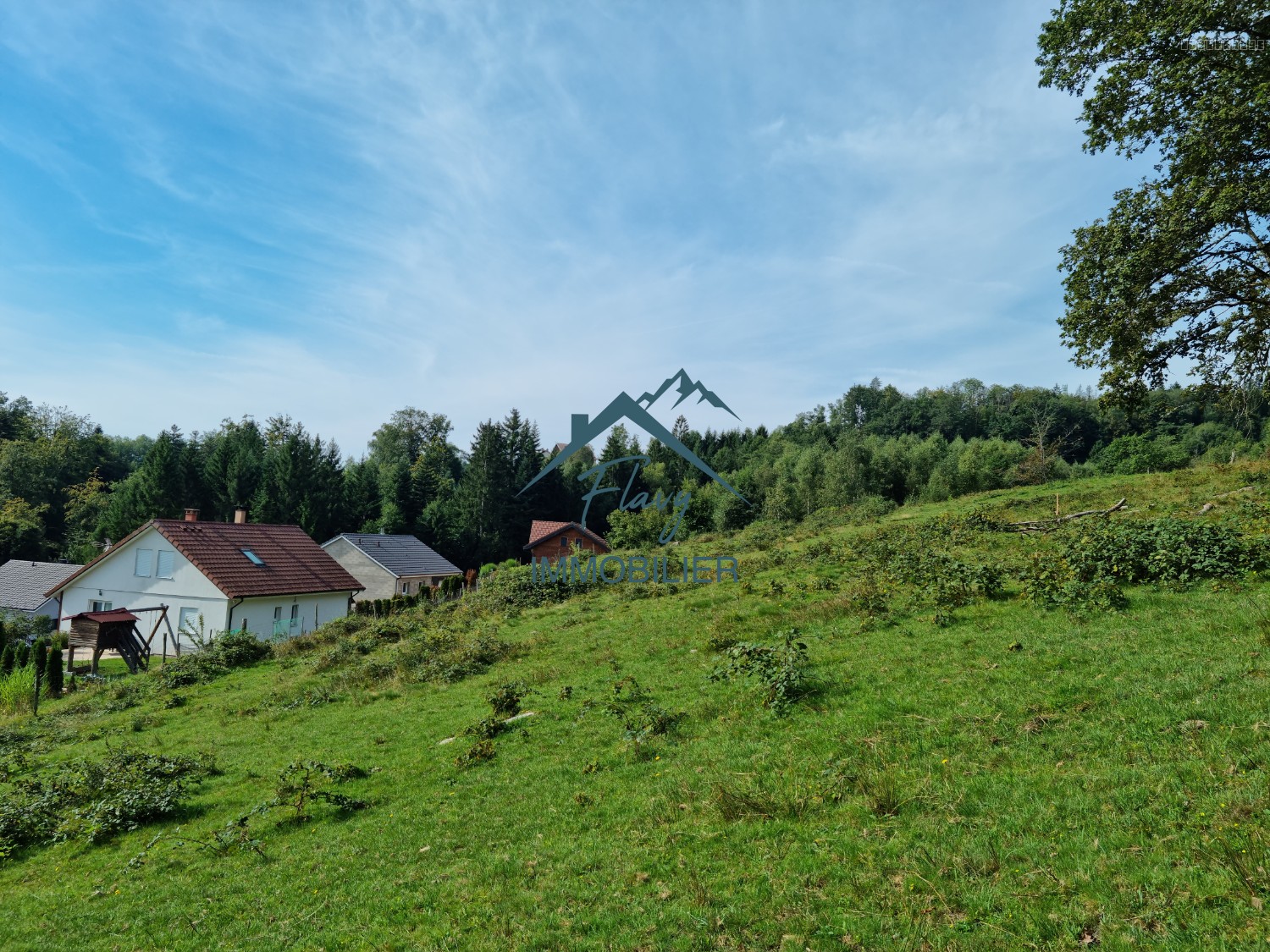 Bien immobilier à vendre à Cleurie, 8 385 m² – photo 3 sur 4