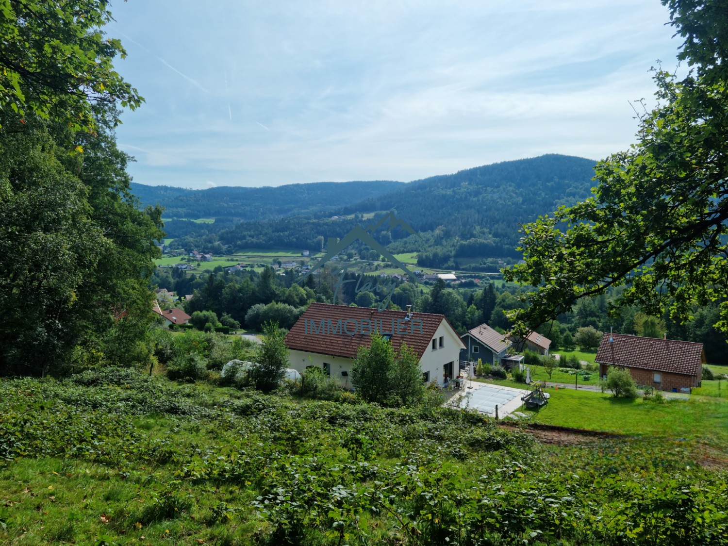 Bien immobilier à vendre à Cleurie, 8 385 m² – photo 2 sur 4