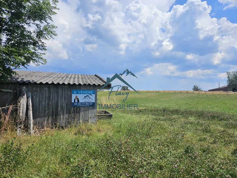 Terrain à vendre à Sercoeur, 2 588 m² – photo 1 sur 6