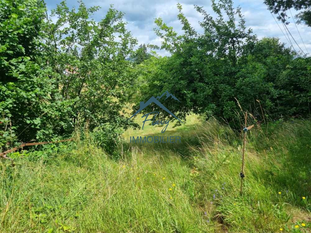 Terrain à vendre à Fimenil, 2 835 m² – photo 3 sur 3