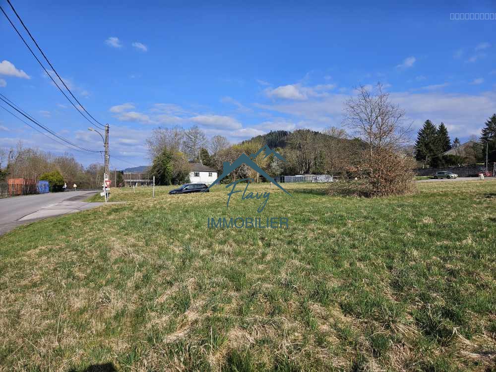 Bien immobilier à vendre à Docelles, 1 708 m² – photo 3 sur 5