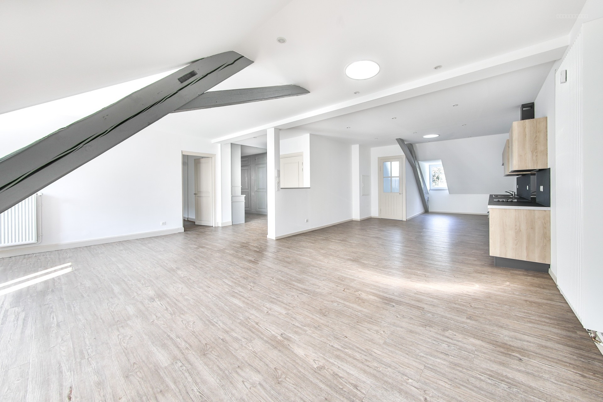 Appartement à louer à Mulhouse, 158 m², 6 pièces – photo 3 sur 11