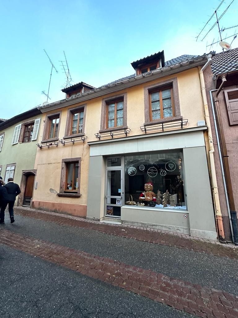 Immeuble à vendre à Ribeauville, 485 m² – photo 1 sur 19