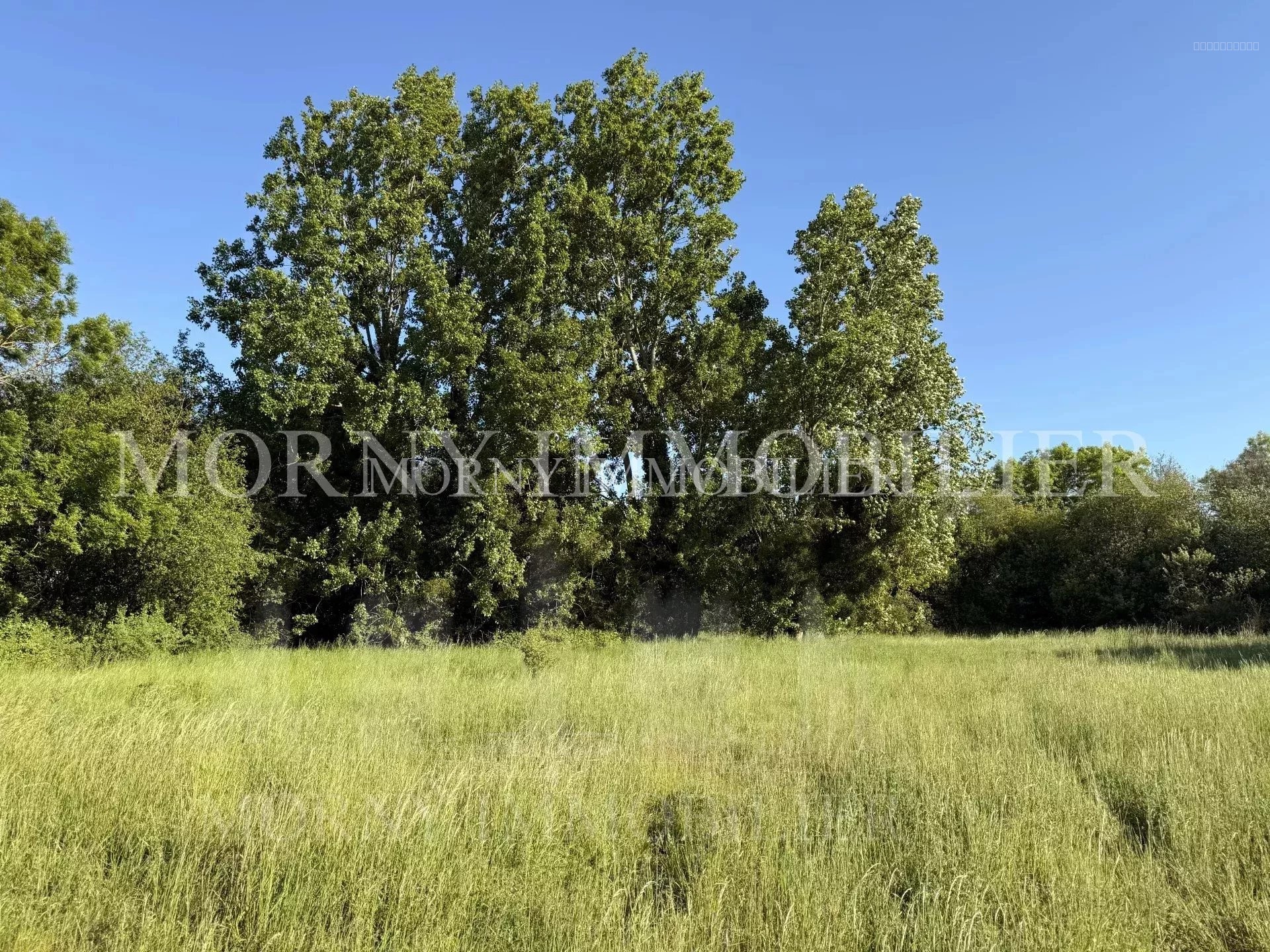 Terrain à vendre à Tourgeville, 707 m² – photo 1 sur 1