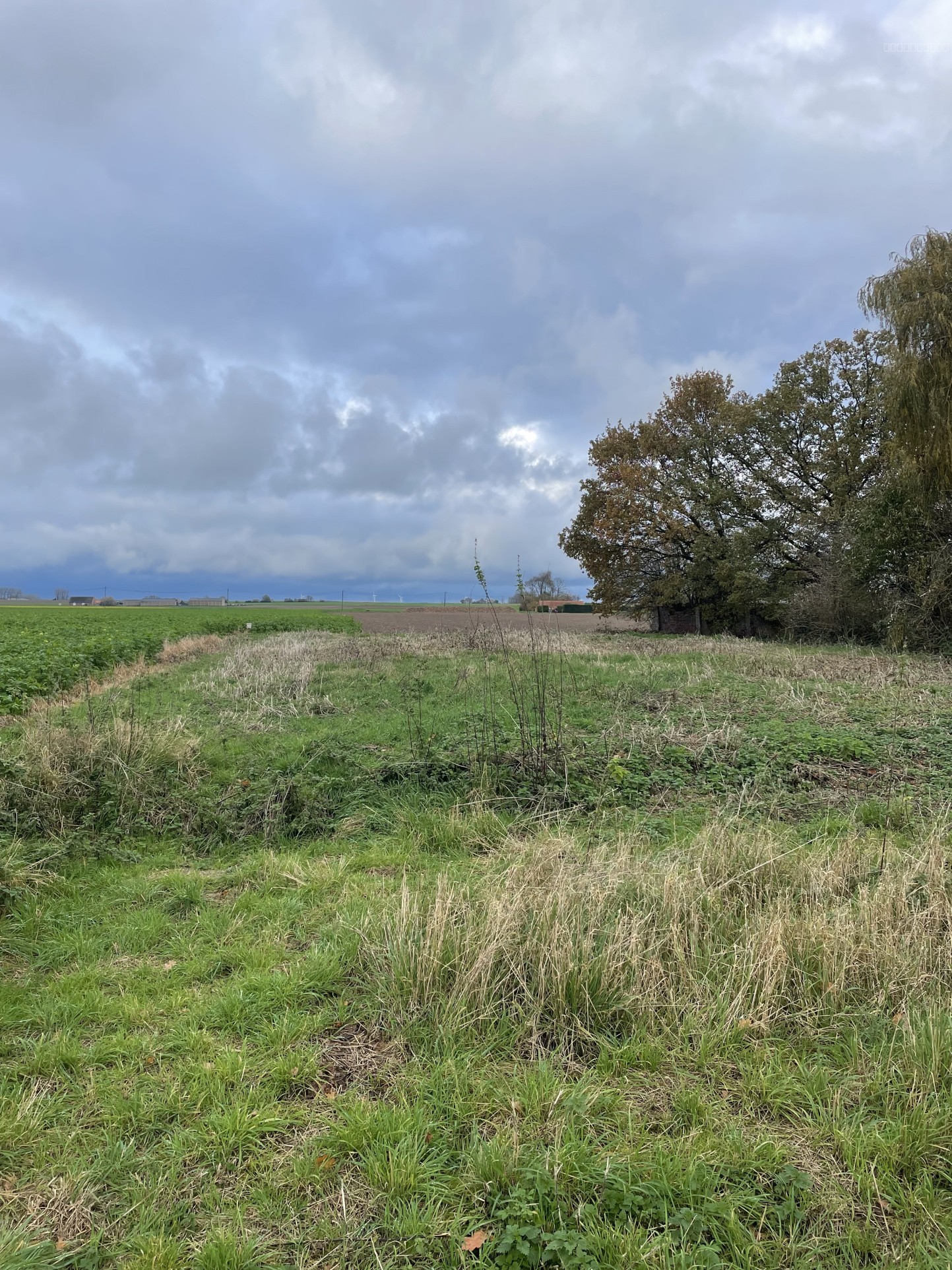 Terrain à vendre à Camphin en pevele, 2 220 m² – photo 1 sur 2