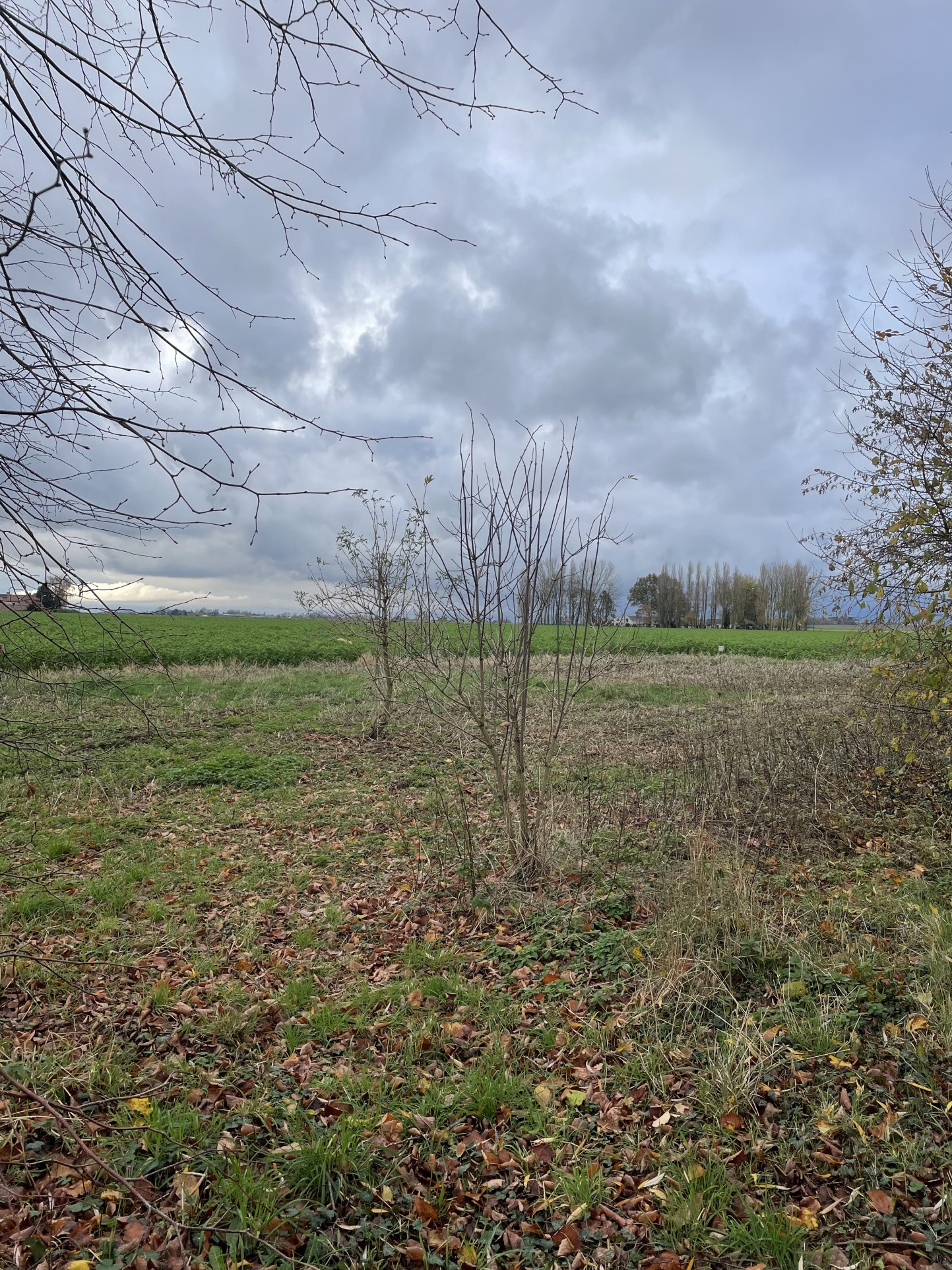 Terrain à vendre à Camphin en pevele, 2 220 m² – photo 2 sur 2