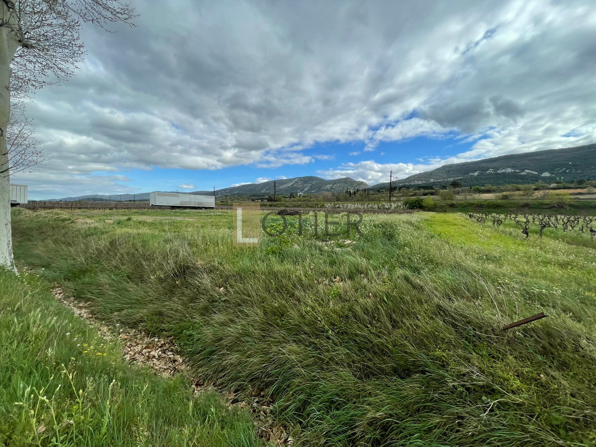 Terrain de loisir à proximité des habitations — photo 4