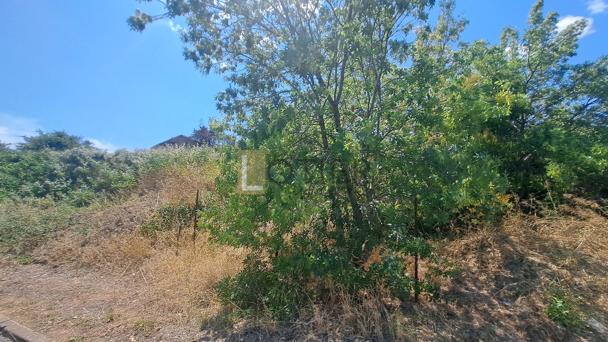Bien immobilier à vendre à Murviel les beziers, 1 210 m² – photo 3 sur 6