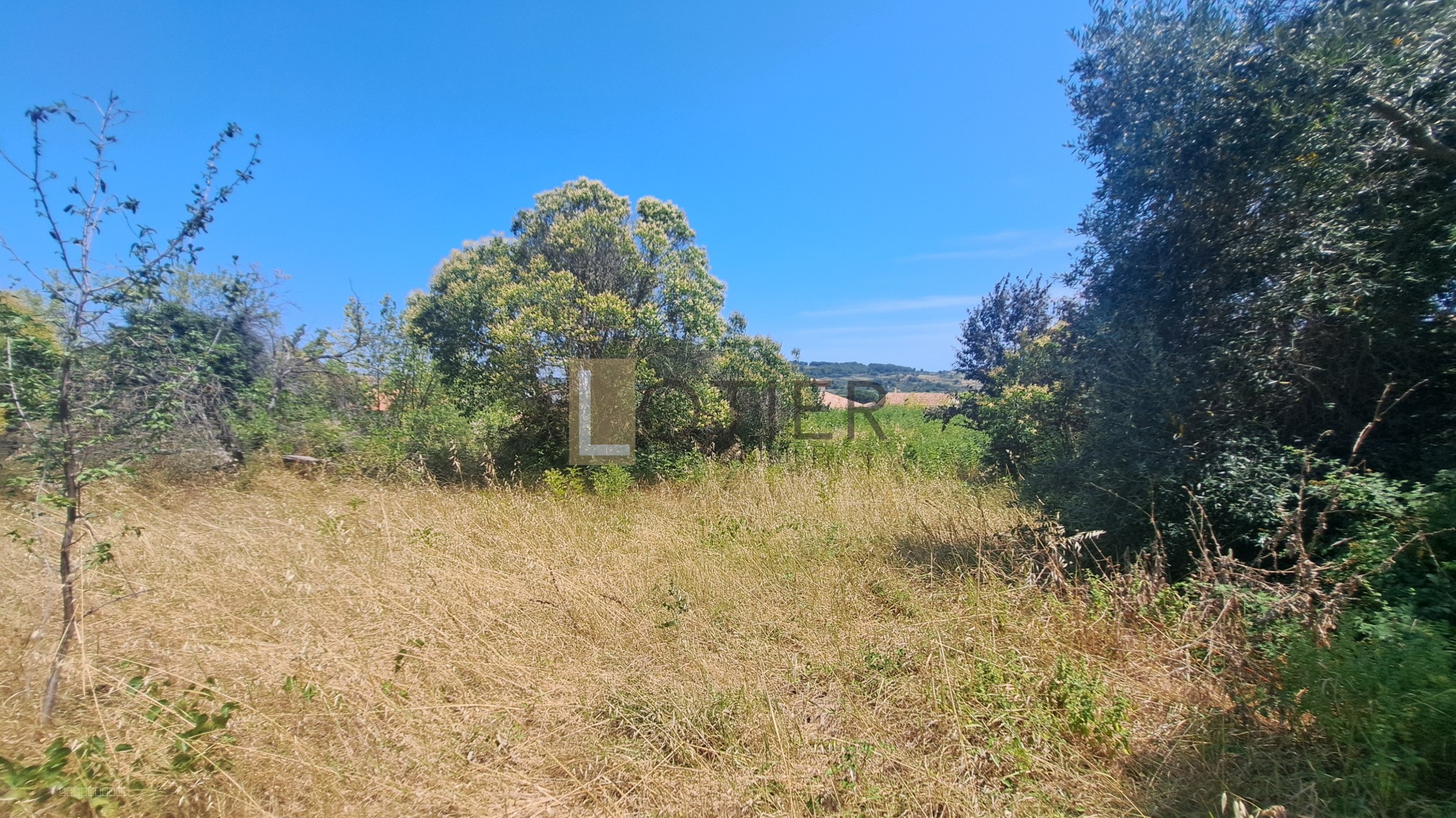 Bien immobilier à vendre à Murviel les beziers, 1 210 m² – photo 2 sur 6