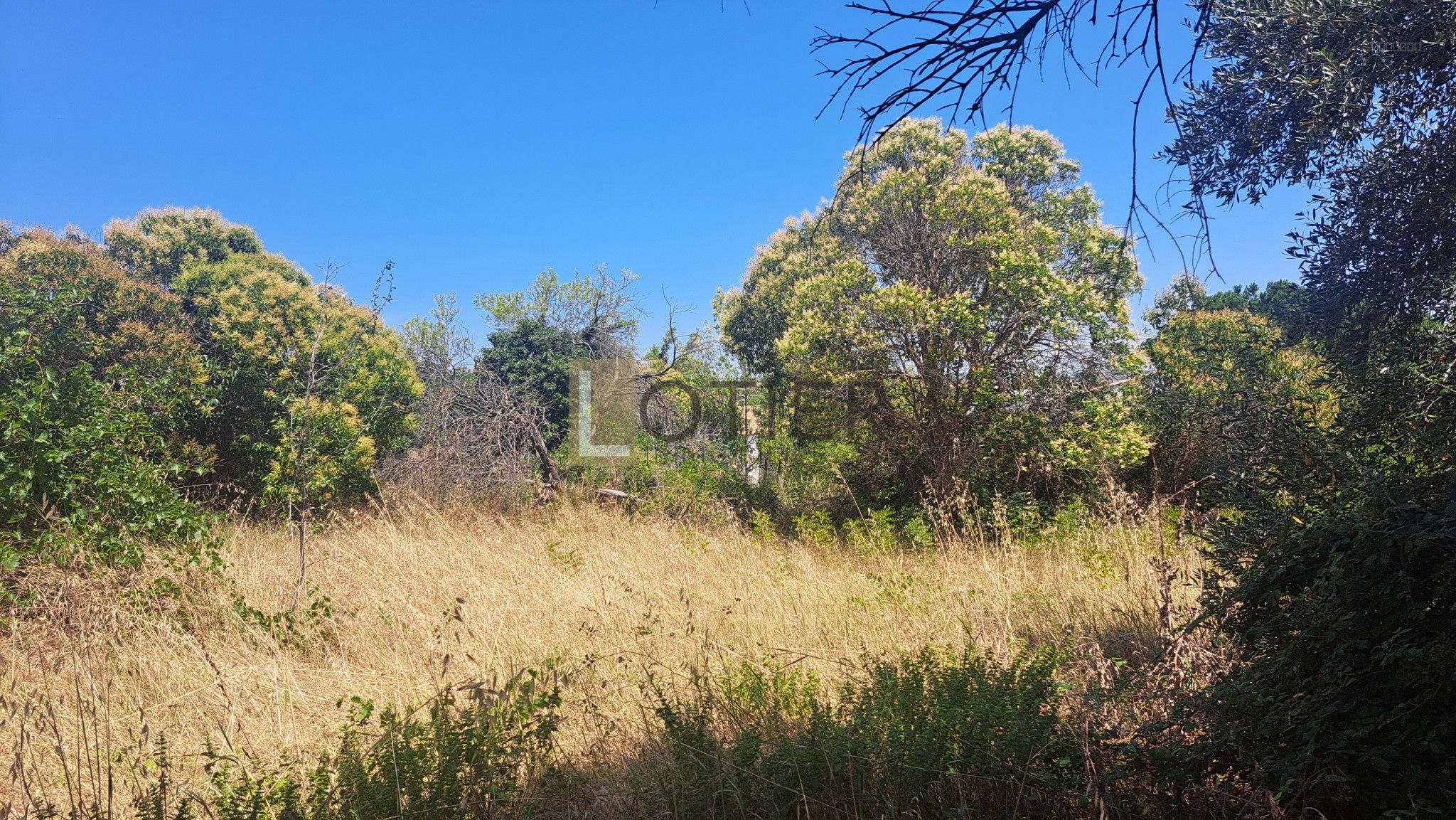 Bien immobilier à vendre à Murviel les beziers, 1 210 m² – photo 1 sur 6
