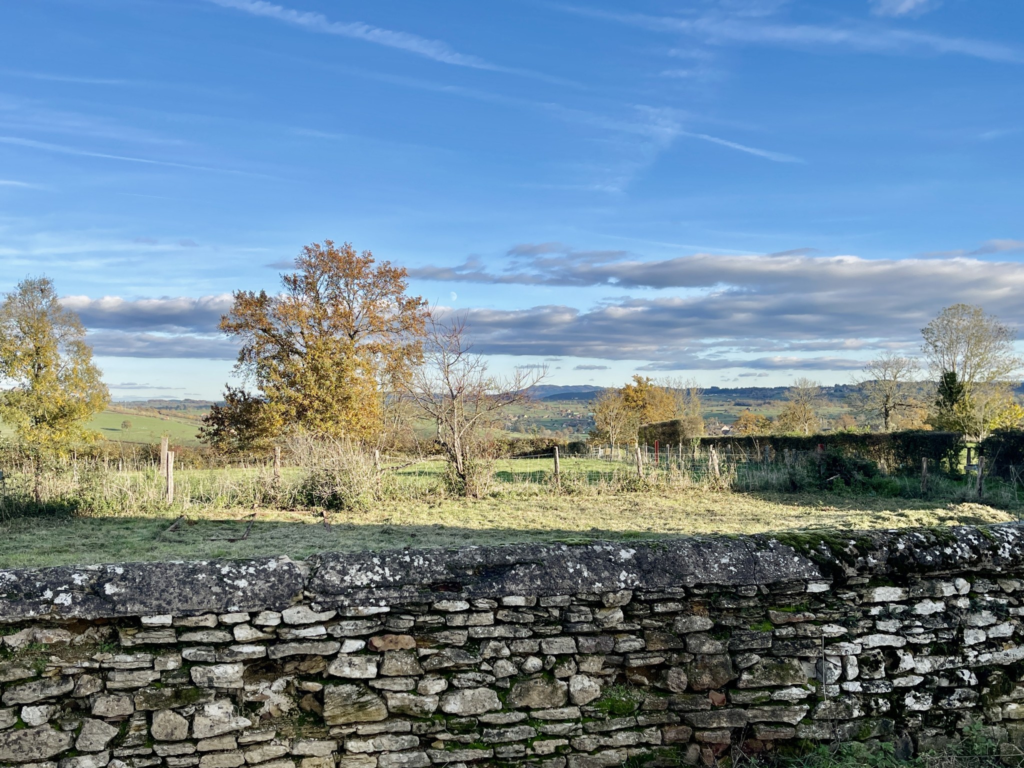 Ferme à vendre à Charolles, 135 m², 10 pièces – photo 2 sur 12