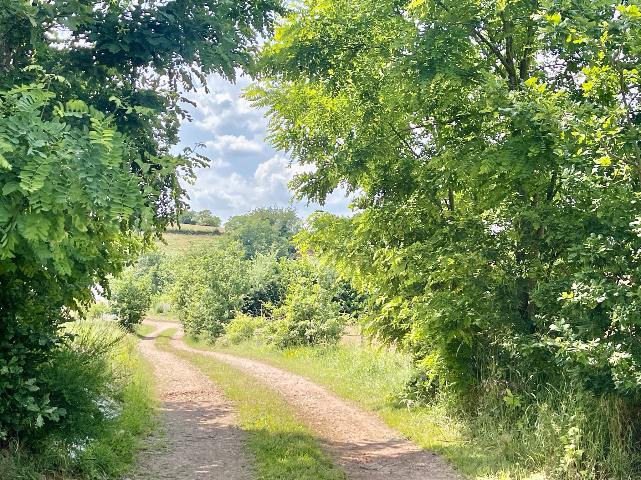 Ferme à vendre à La clayette, 50 m², 8 pièces – photo 1 sur 10