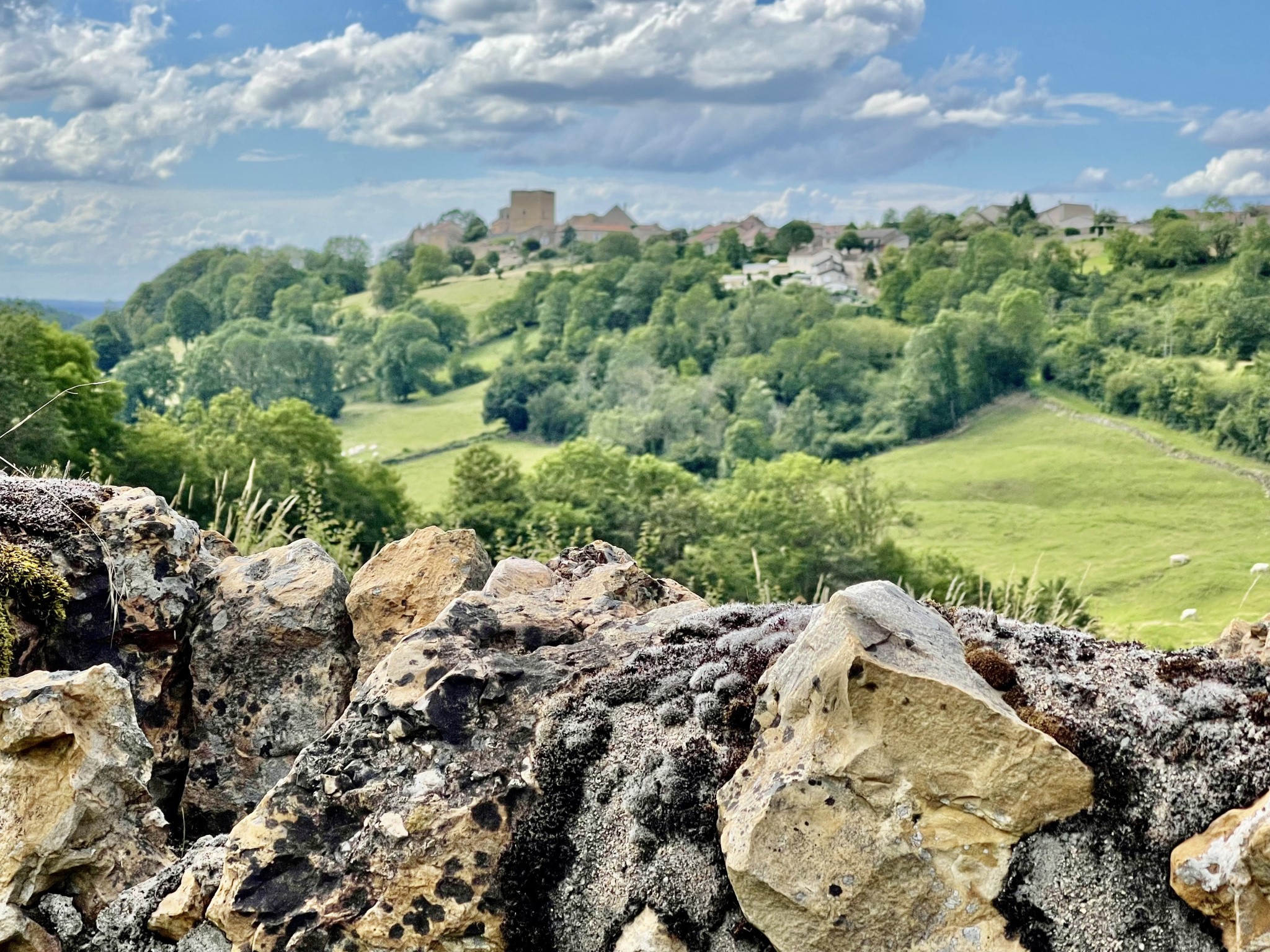 Bien immobilier à vendre à Paray le monial, 310 m², 8 pièces – photo 2 sur 7