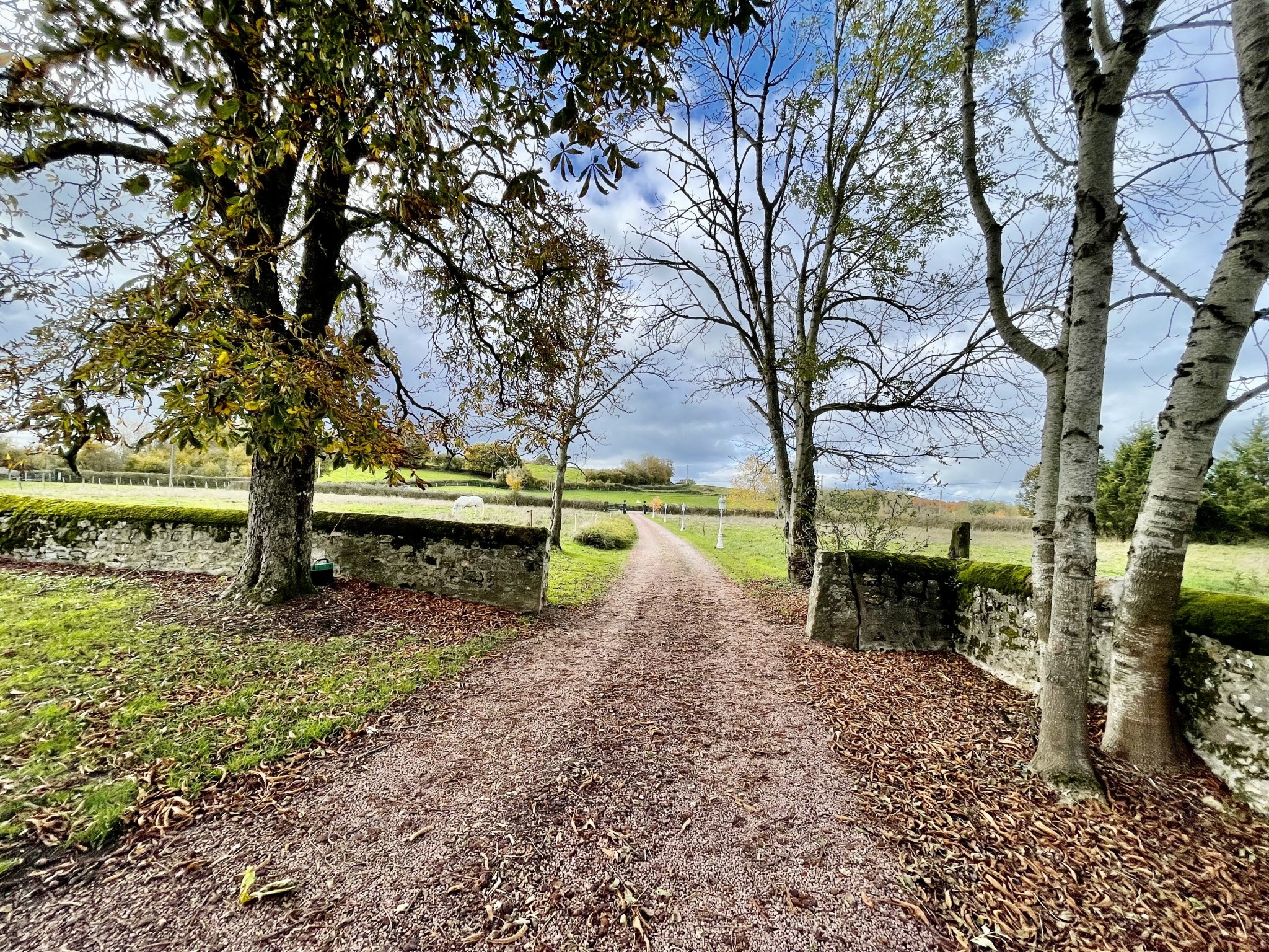 Bien immobilier à vendre à Paray le monial, 450 m², 10 pièces – photo 3 sur 9