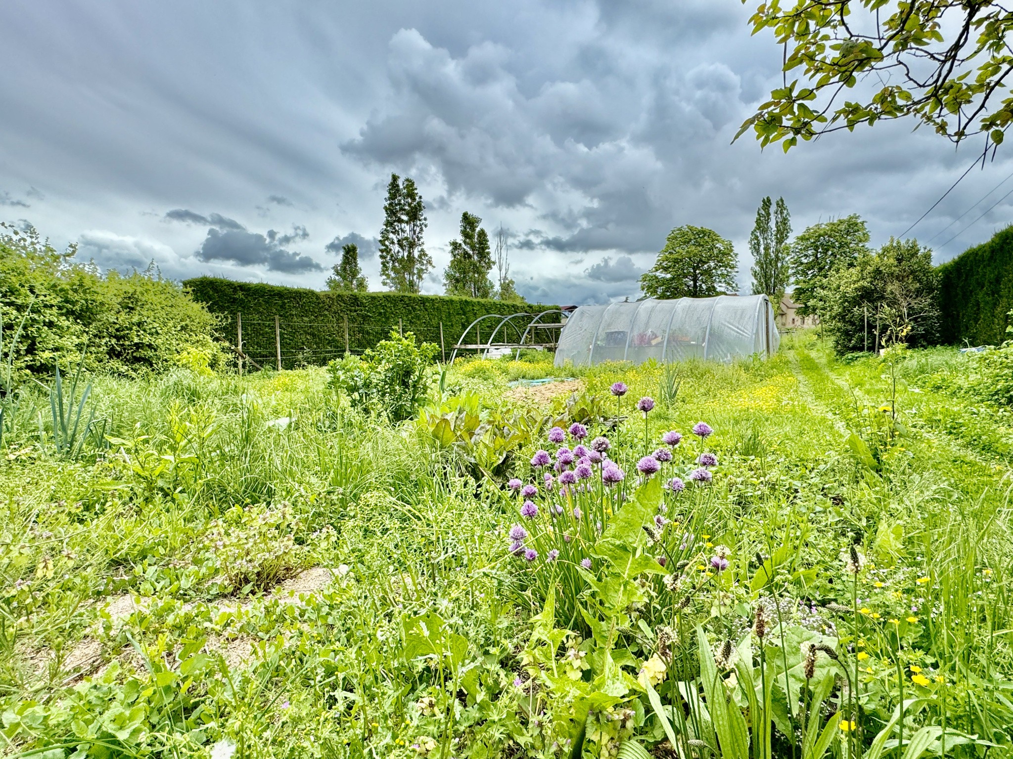 Bien immobilier à vendre à Gueugnon, 45 m², 5 pièces – photo 2 sur 5