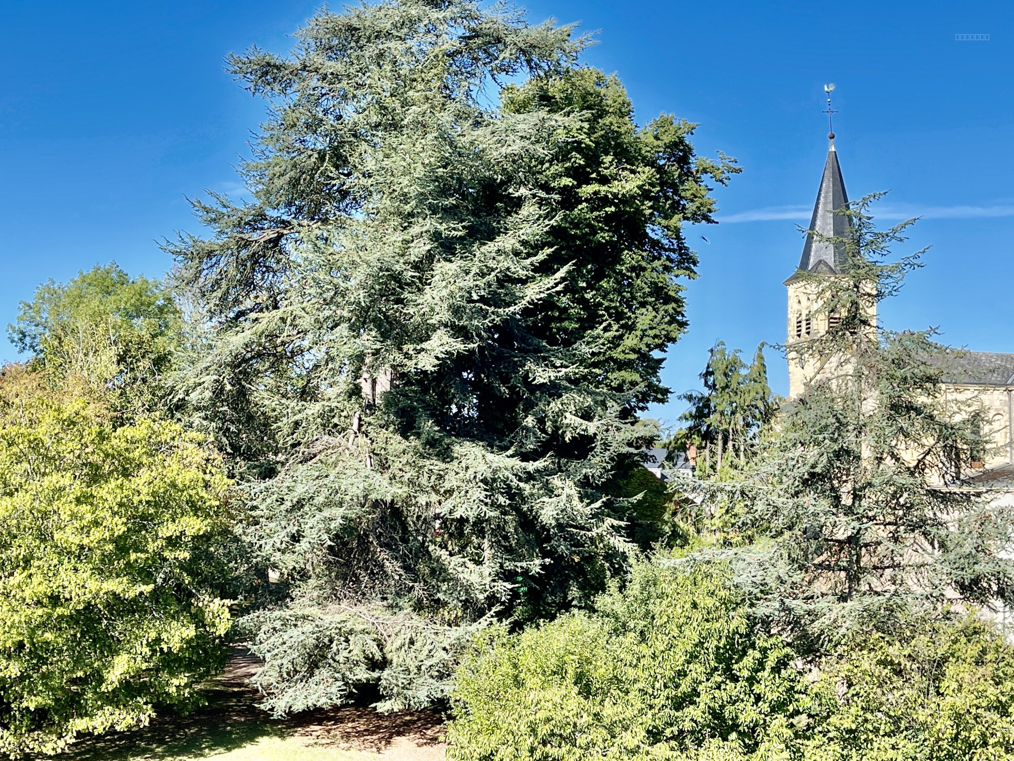 Bien immobilier à vendre à Le donjon, 200 m², 8 pièces – photo 3 sur 13