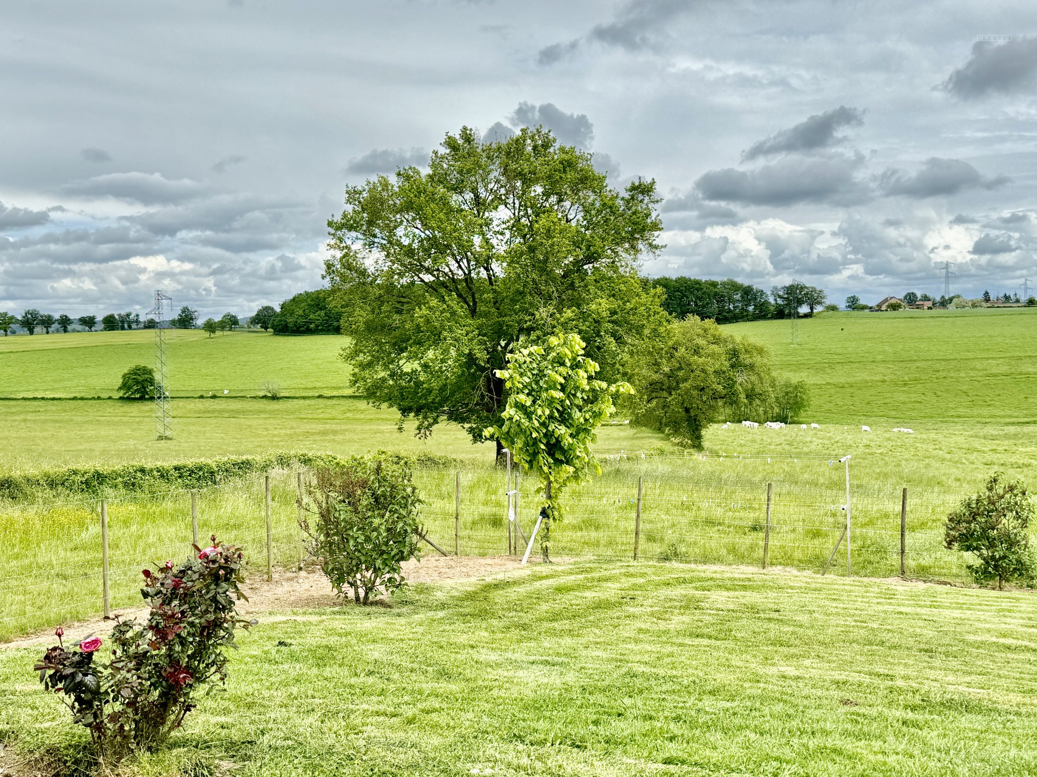 Terrain à vendre à Marcigny, 2 500 m² – photo 1 sur 6
