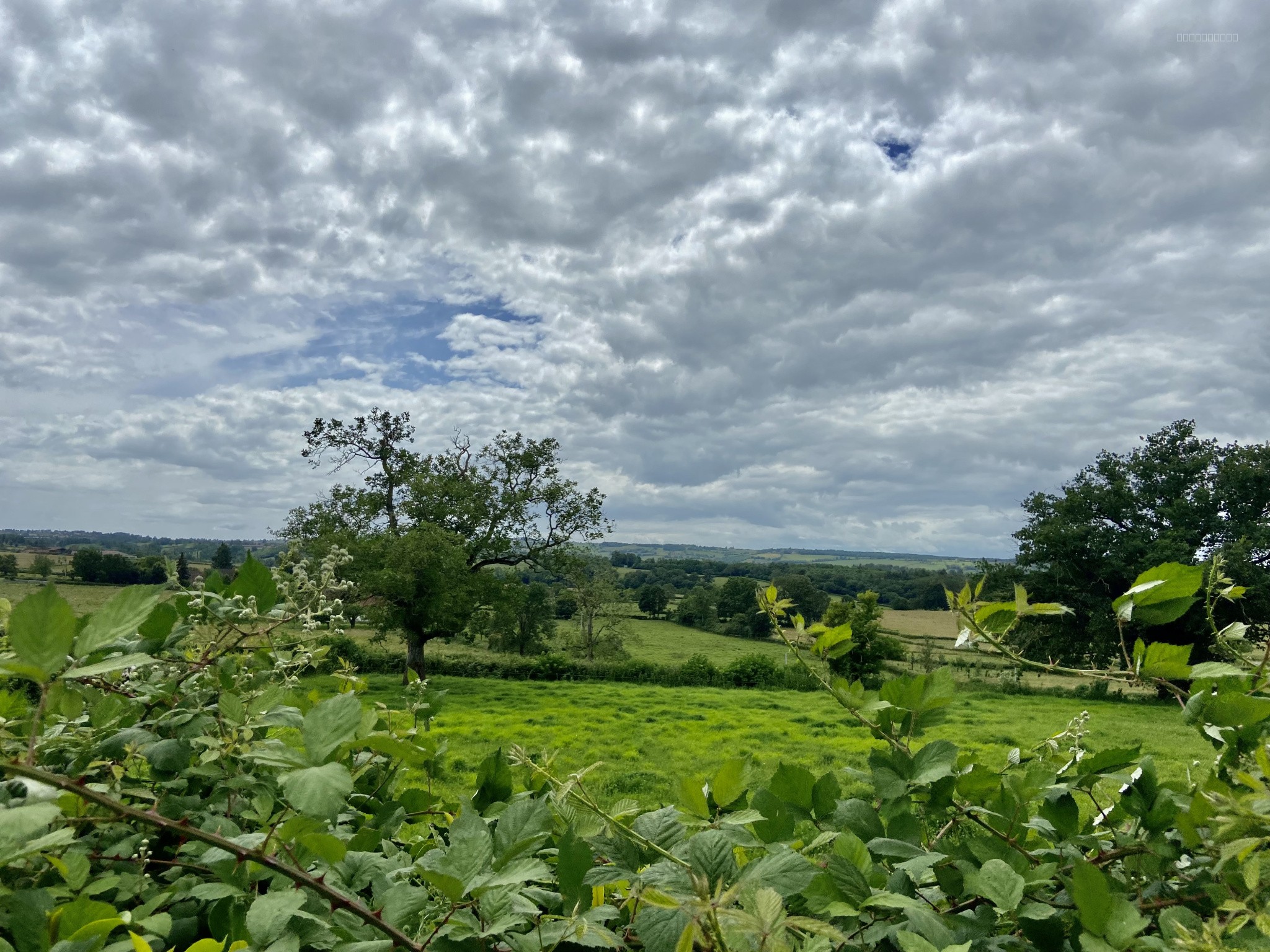 Maison à vendre à Paray le monial, 150 m², 6 pièces – photo 3 sur 16
