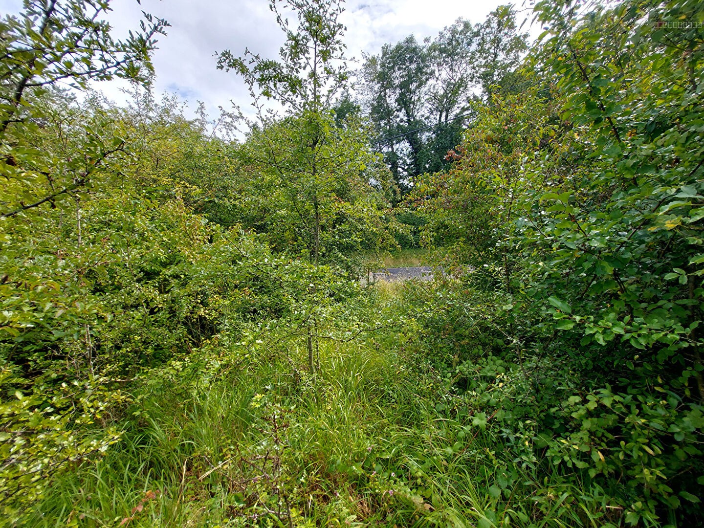 Terrain à vendre à Vaucouleurs, 10 231 m² – photo 3 sur 5