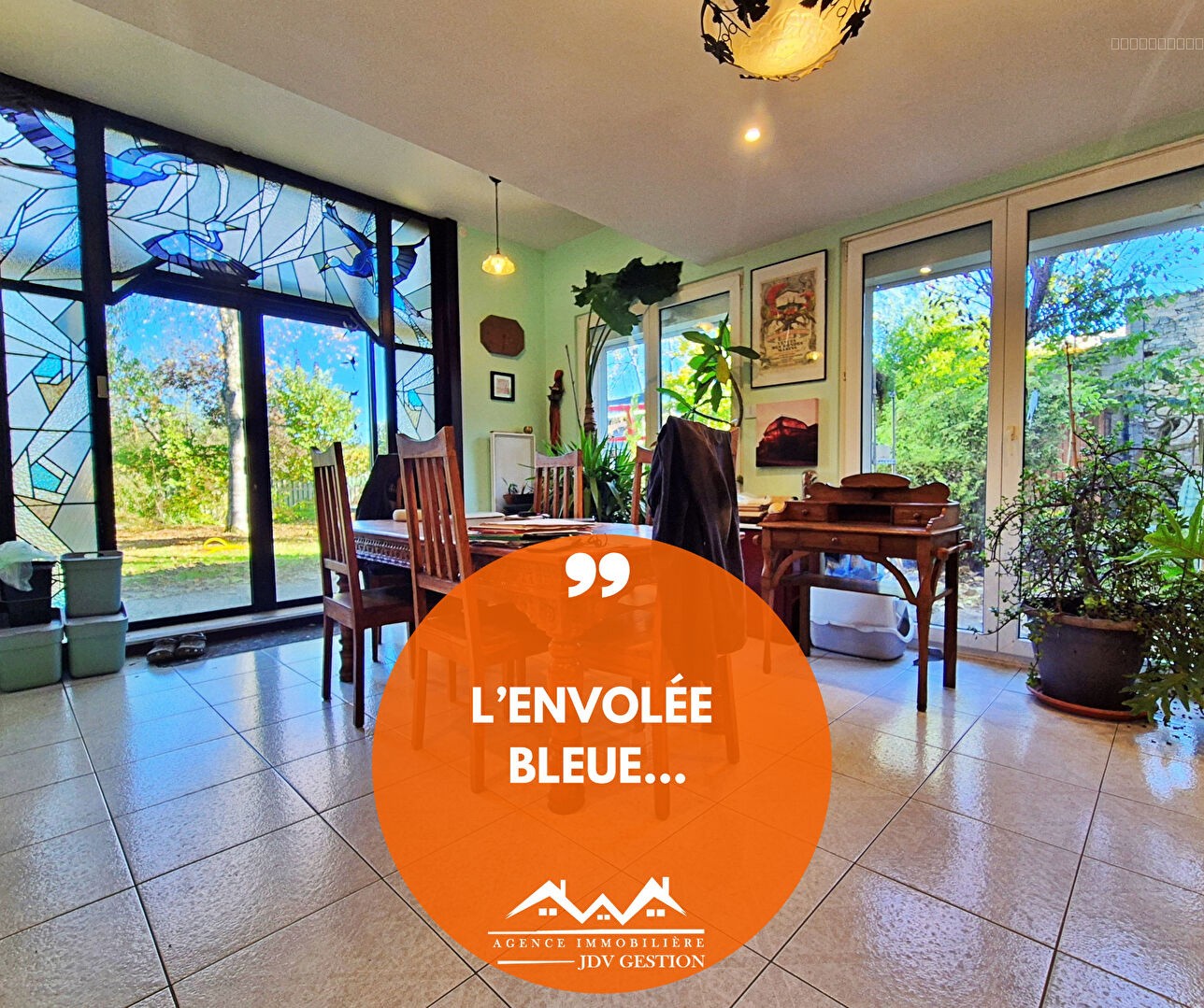 'L'envolée bleue...' — photo 1