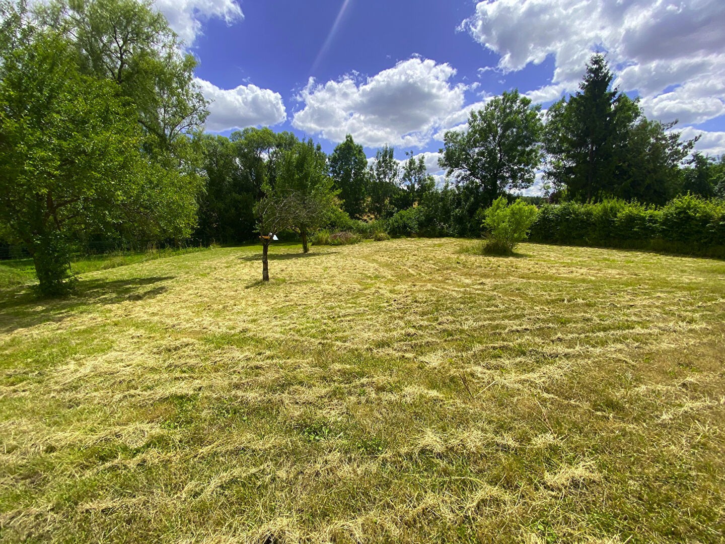Maison à vendre à Cousances les triconville, 200 m², 1 pièce – photo 2 sur 7