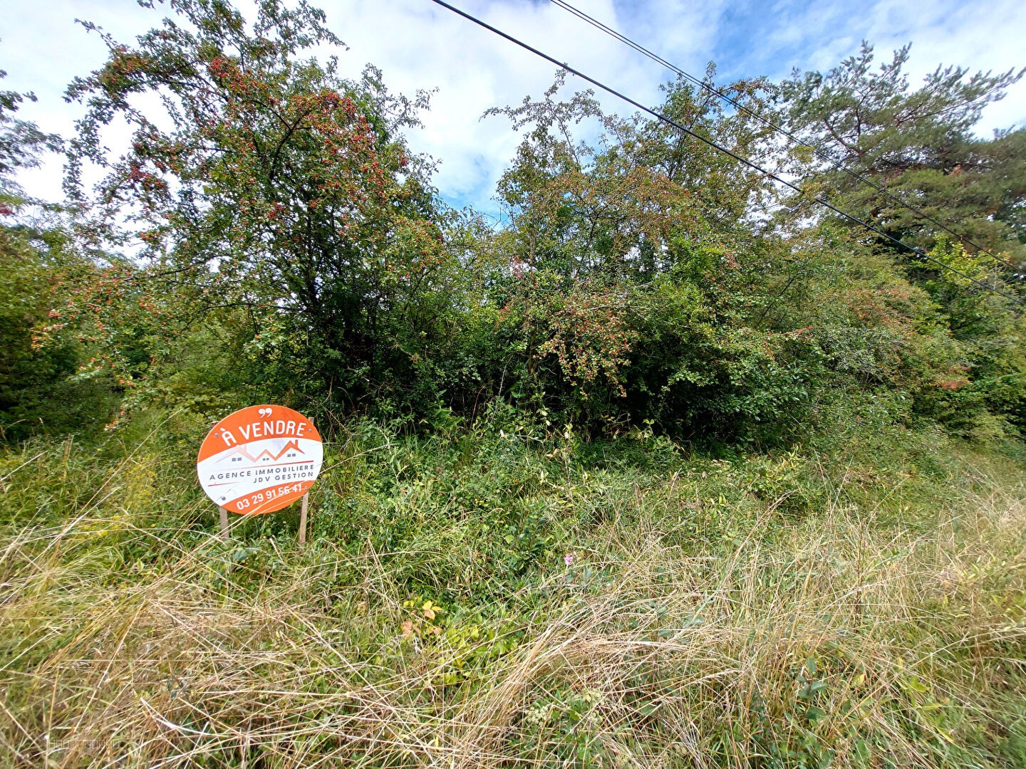 Terrain à vendre à Vaucouleurs, 10 231 m² – photo 2 sur 5