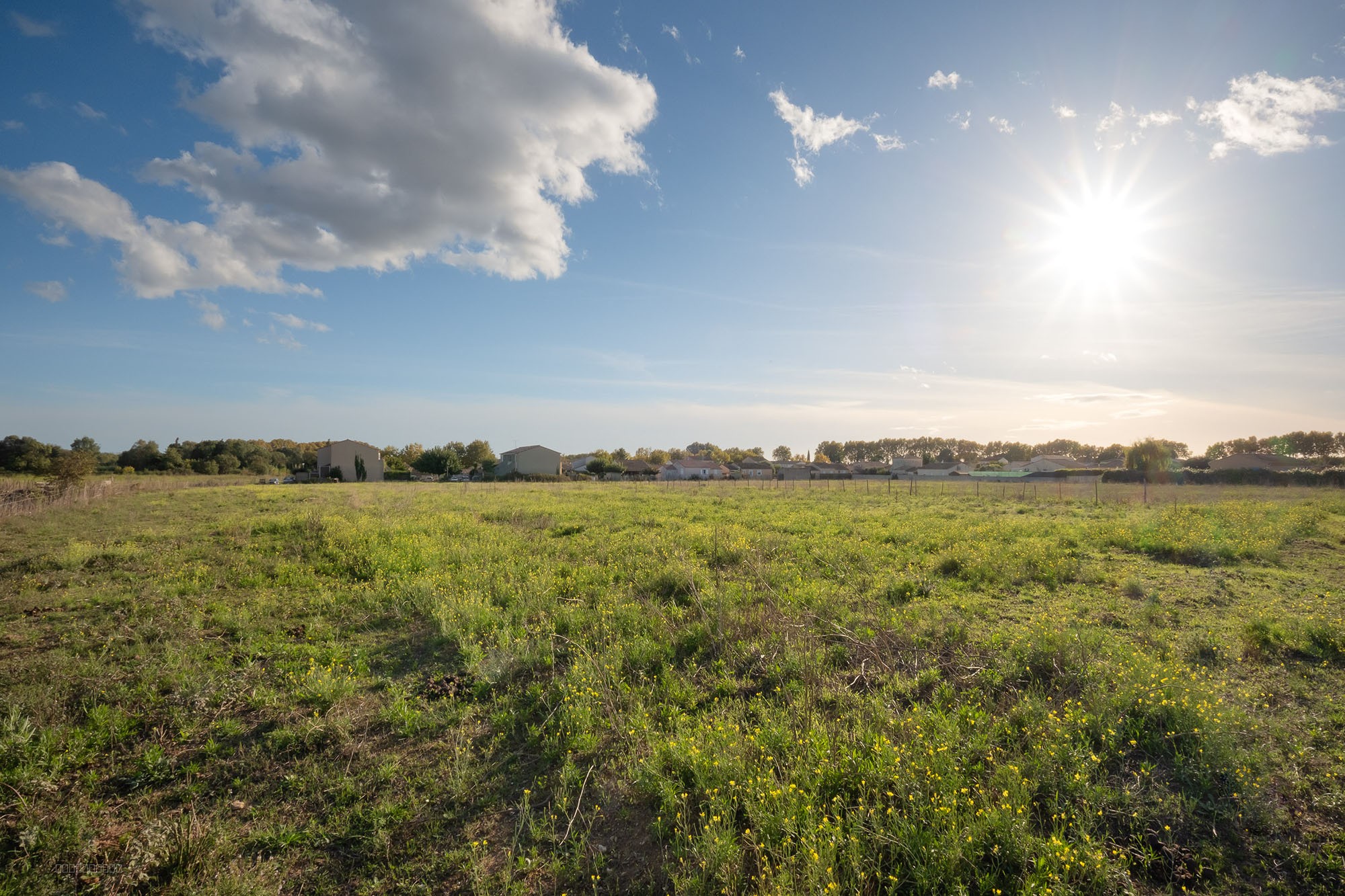 Bien immobilier à vendre à Le cailar, 435 m² – photo 2 sur 8