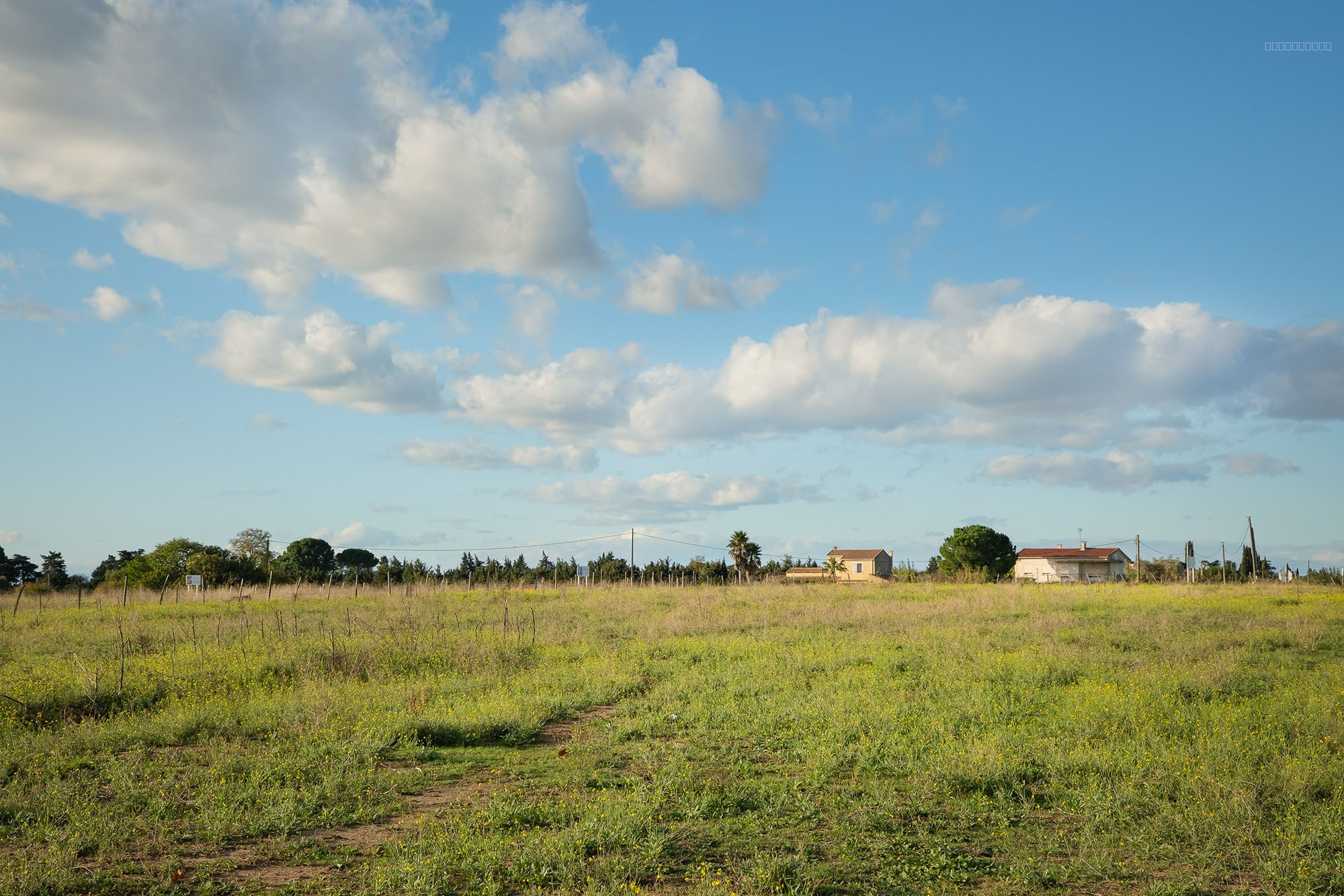 DOSSIER No : Terrain_LOT4_LE CAILAR — photo 1