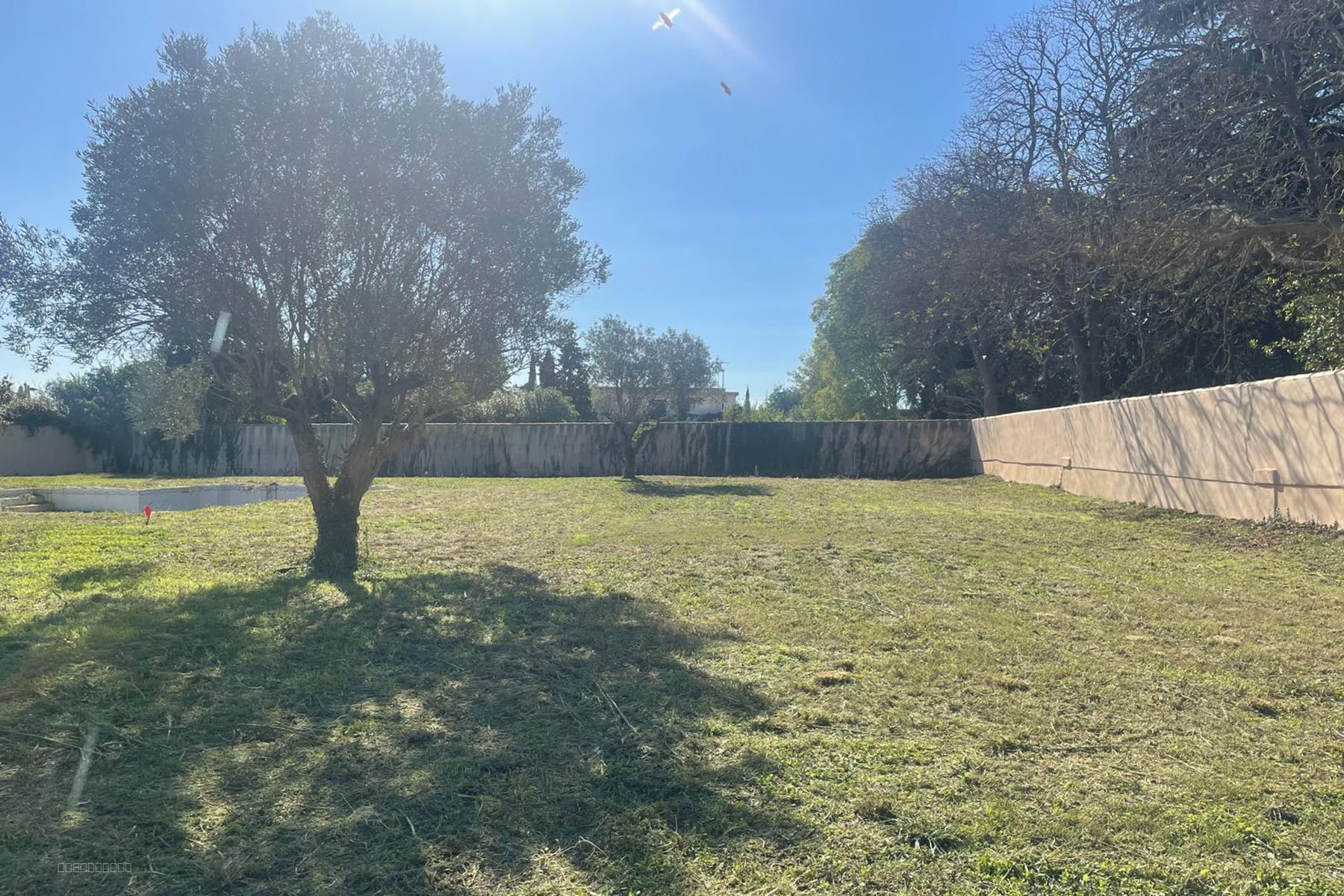 Bien immobilier à vendre à Lunel viel, 734 m² – photo 2 sur 16