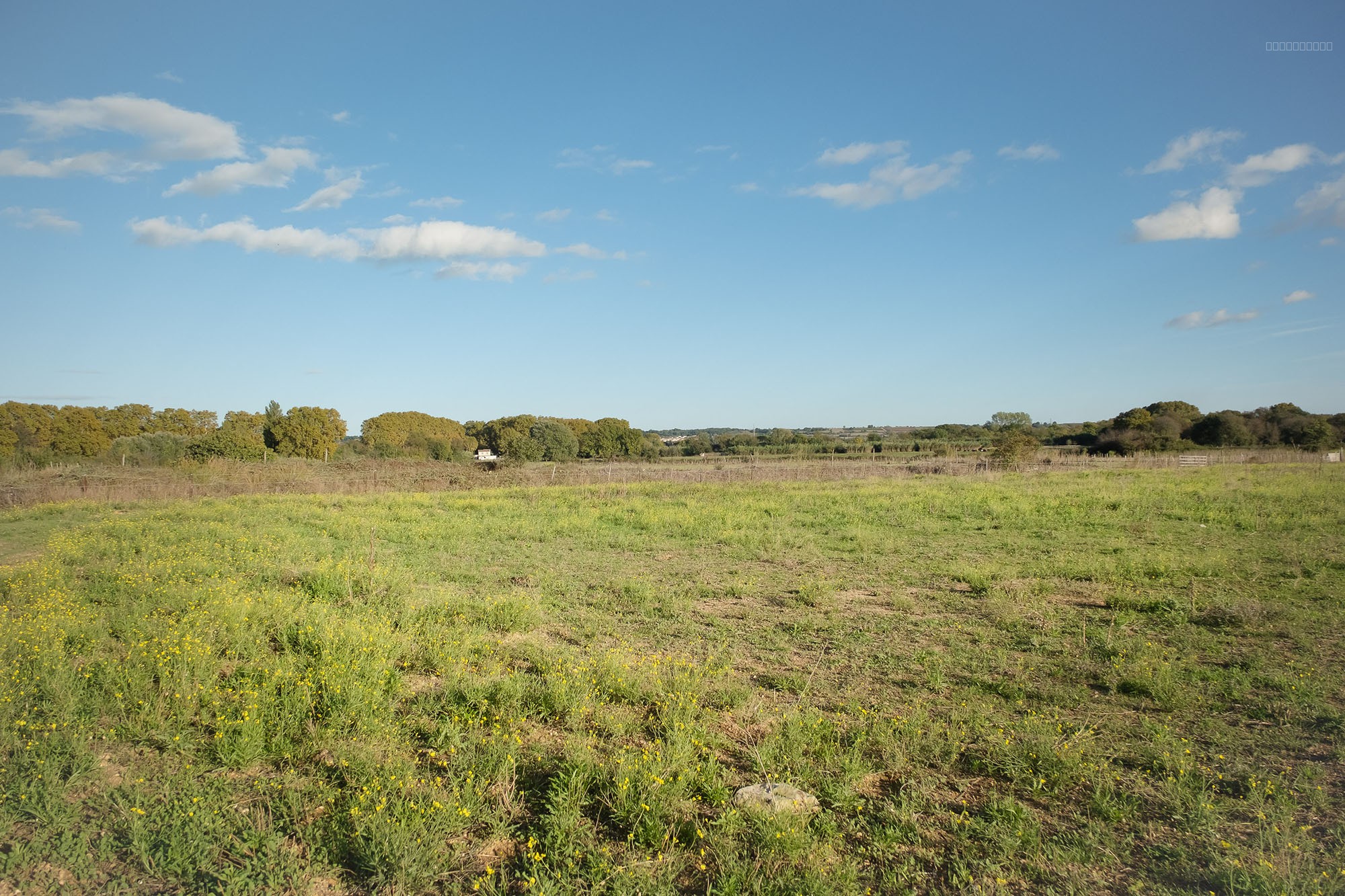 Bien immobilier à vendre à Le cailar, 435 m² – photo 3 sur 8