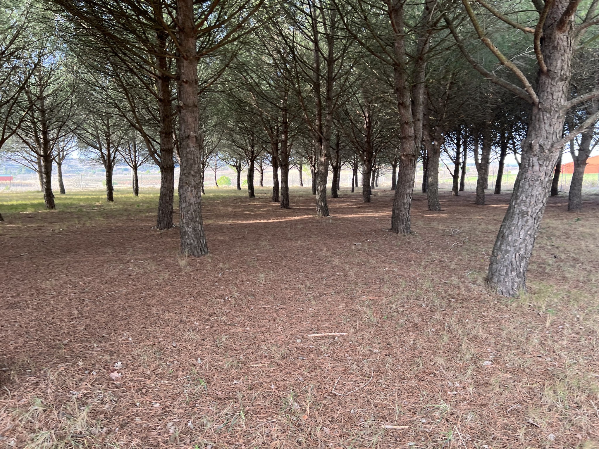 Terrain à vendre à Peyriac minervois, 1 715 m² – photo 1 sur 2