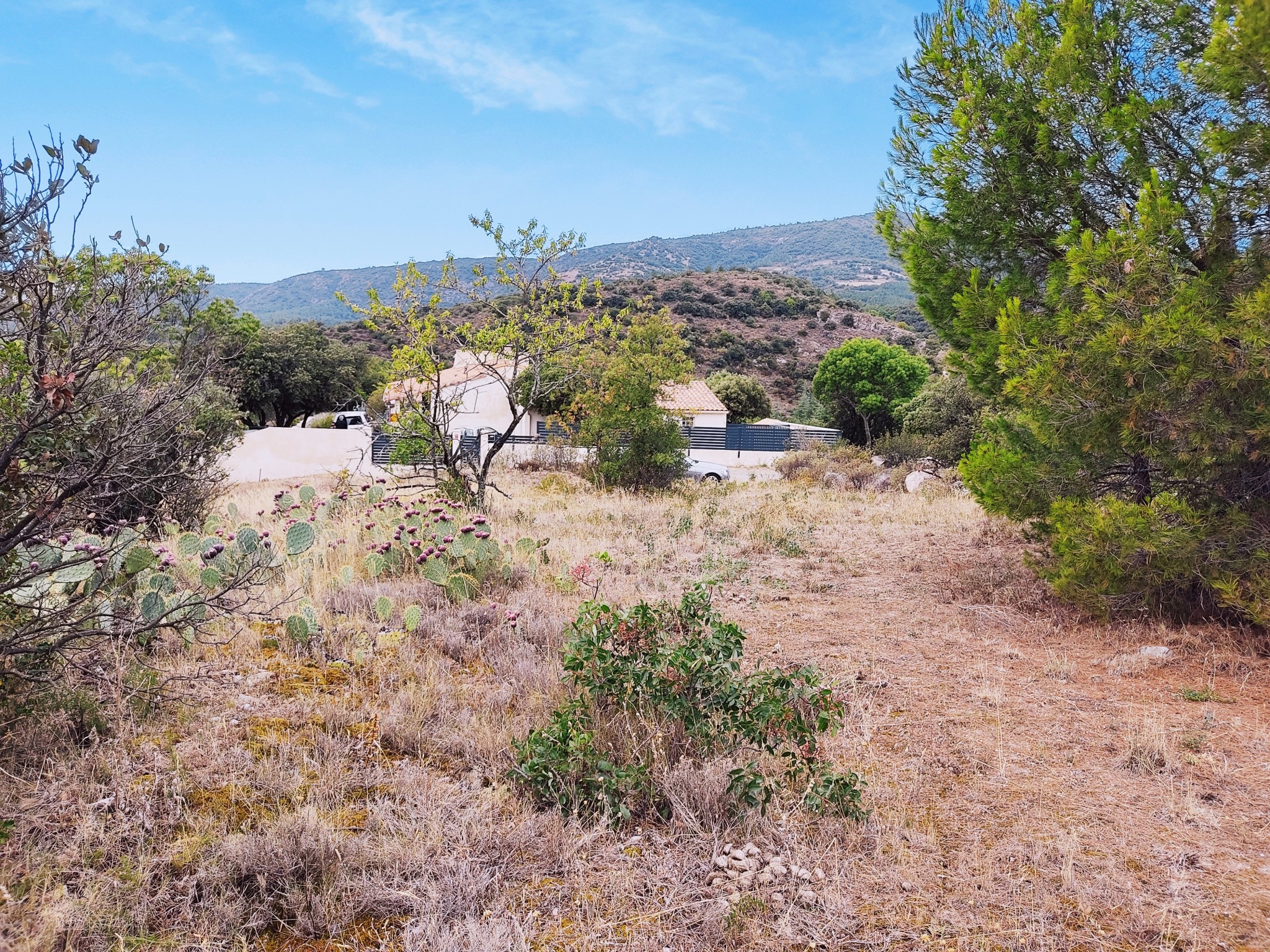 Terrain à vendre à Felines minervois, 1 013 m², 1 pièce – photo 2 sur 4