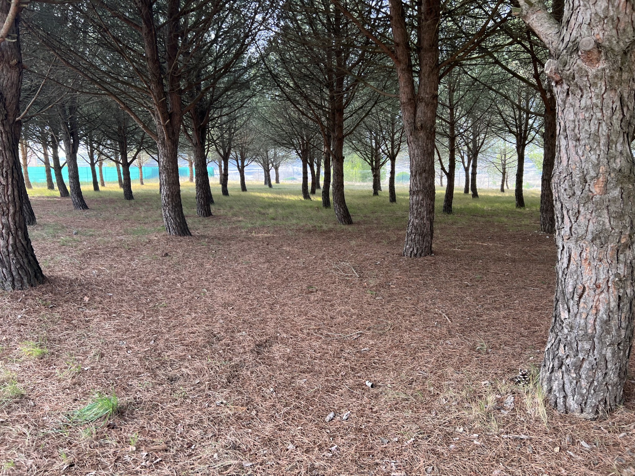 Terrain à vendre à Peyriac minervois, 1 715 m² – photo 2 sur 2