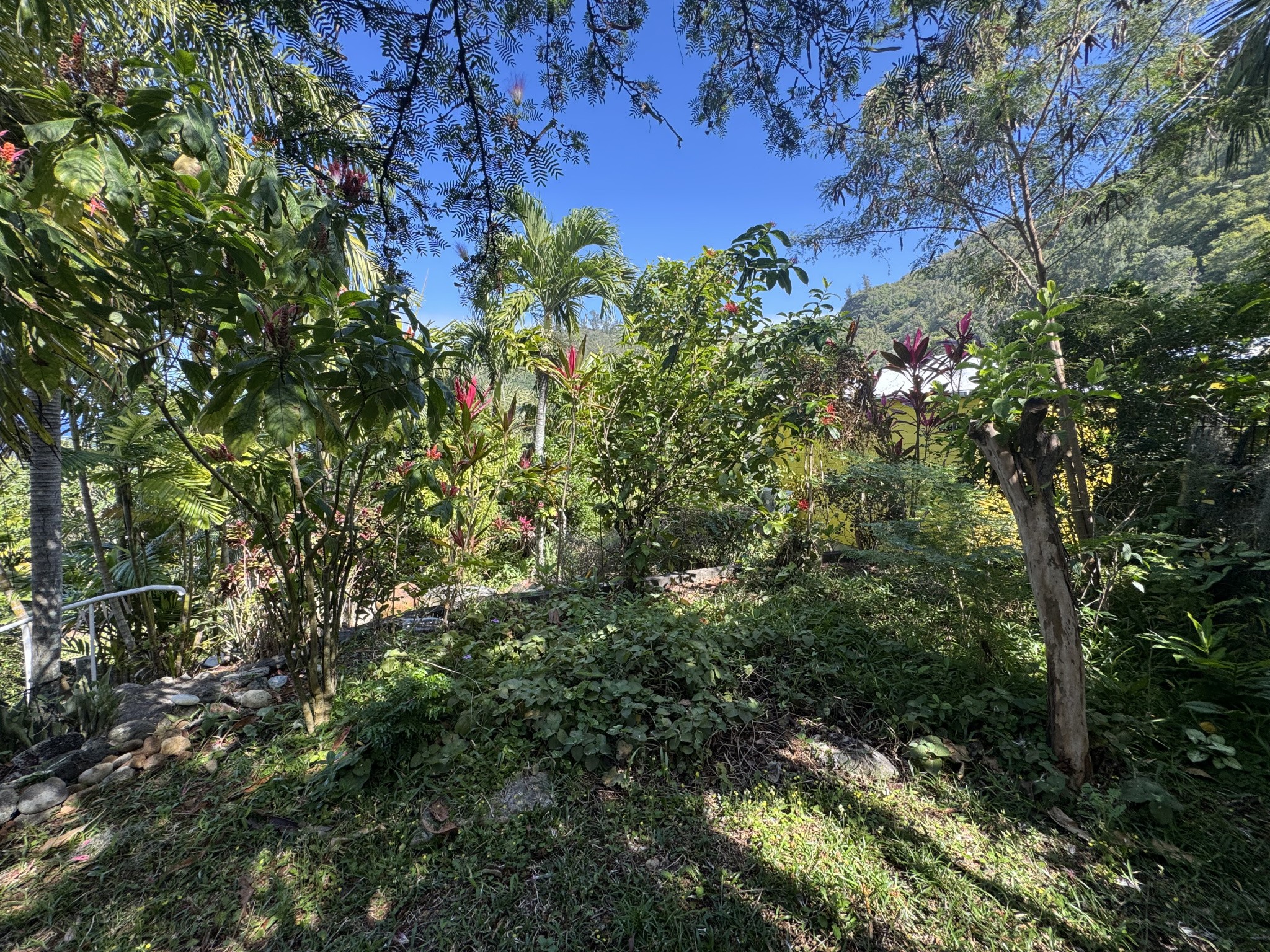 COMPLEXE MANAPANY LES BAINS — photo 6